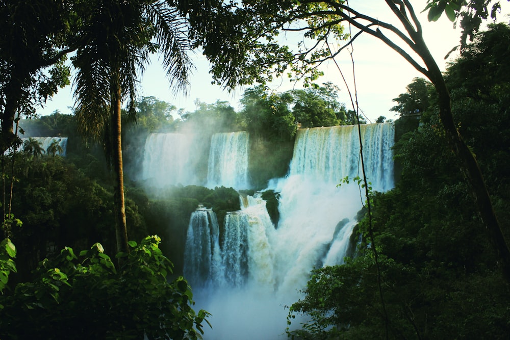 waterfalls between trees during day time