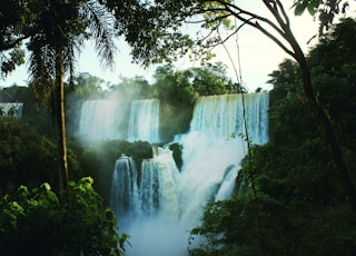 waterfalls between trees during day time