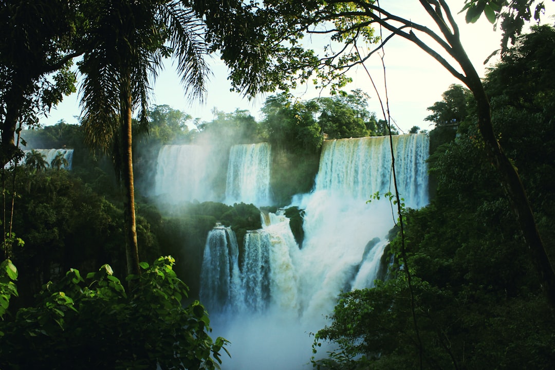 waterfalls between trees during day time, Cascading waterfalls in jungle