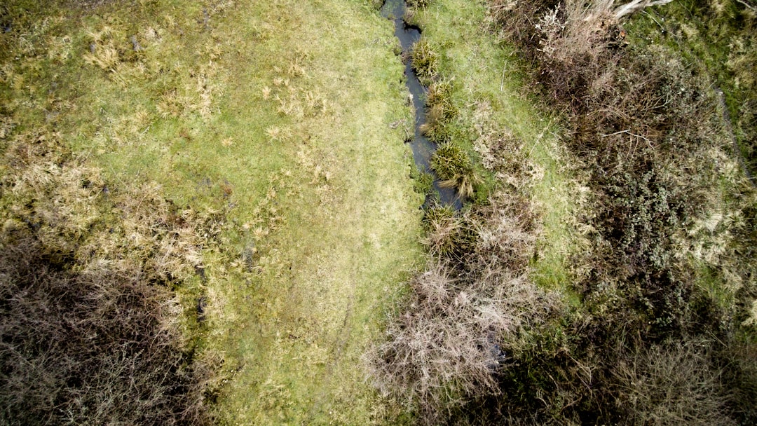 top view photography of grass field