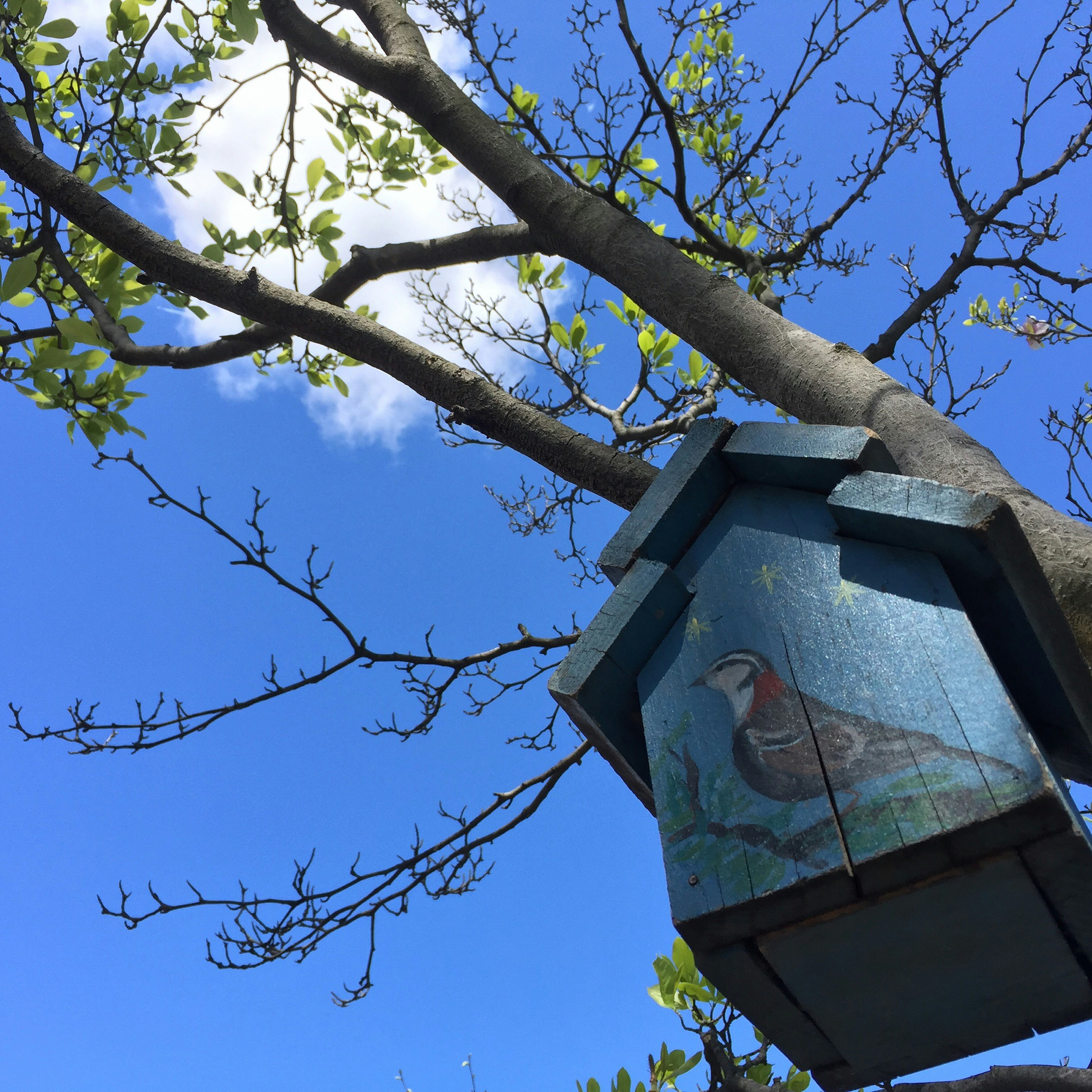 Free Unsplash photo from Kirby Crider