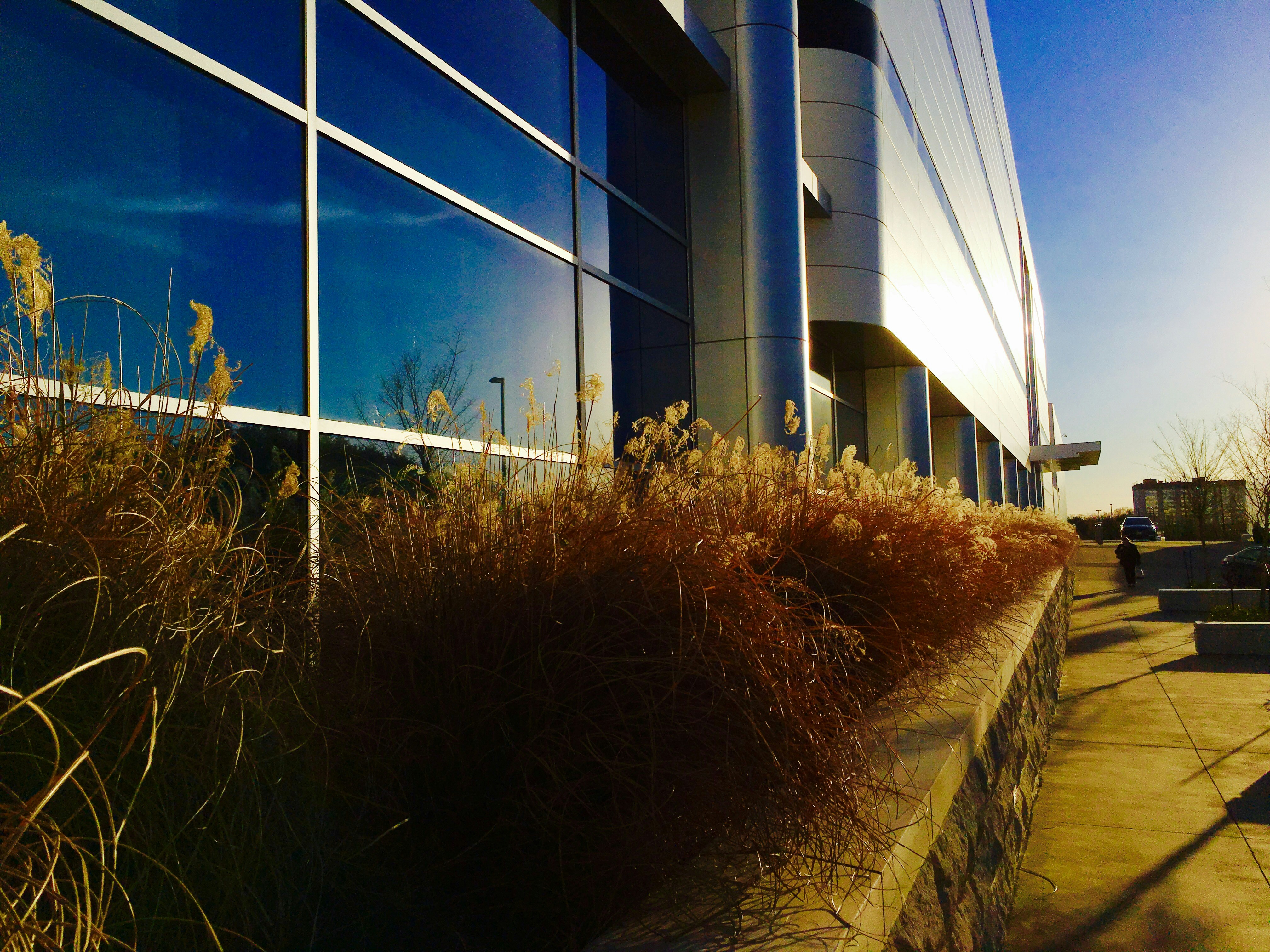 Free Unsplash photo from Naveen Kumar Konduri