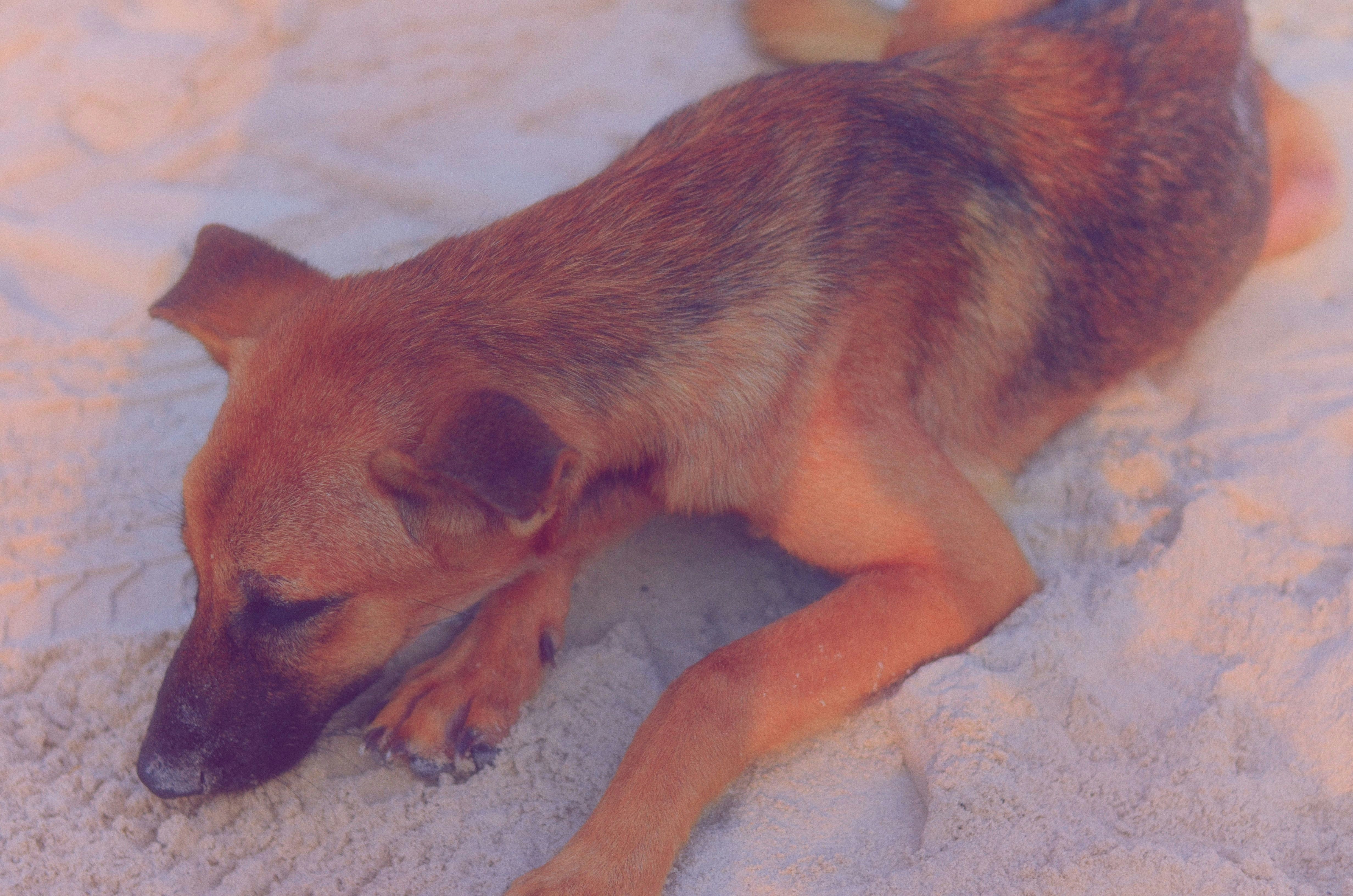 Free Unsplash photo from Cam Cam