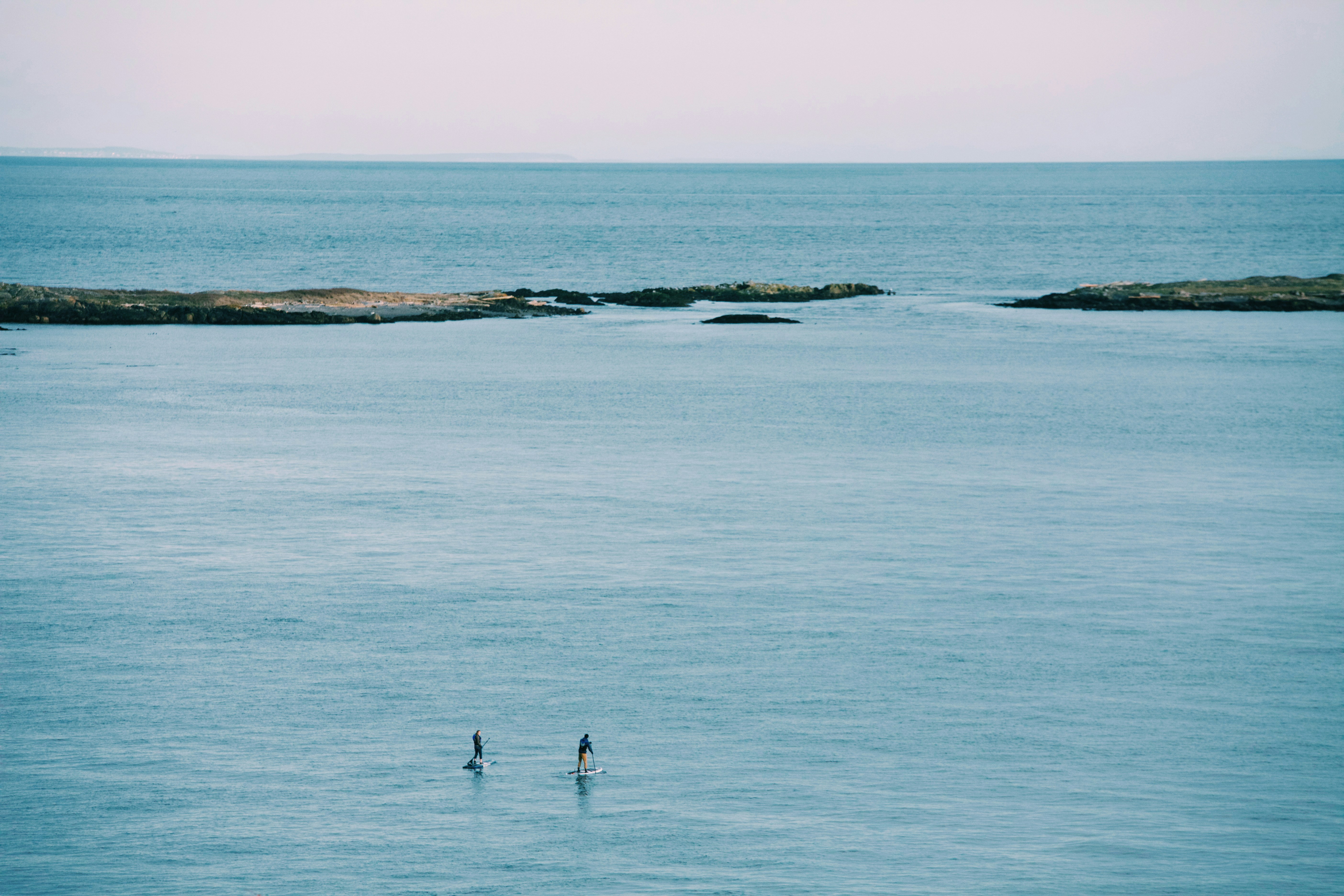 Free Unsplash photo from Ashlee