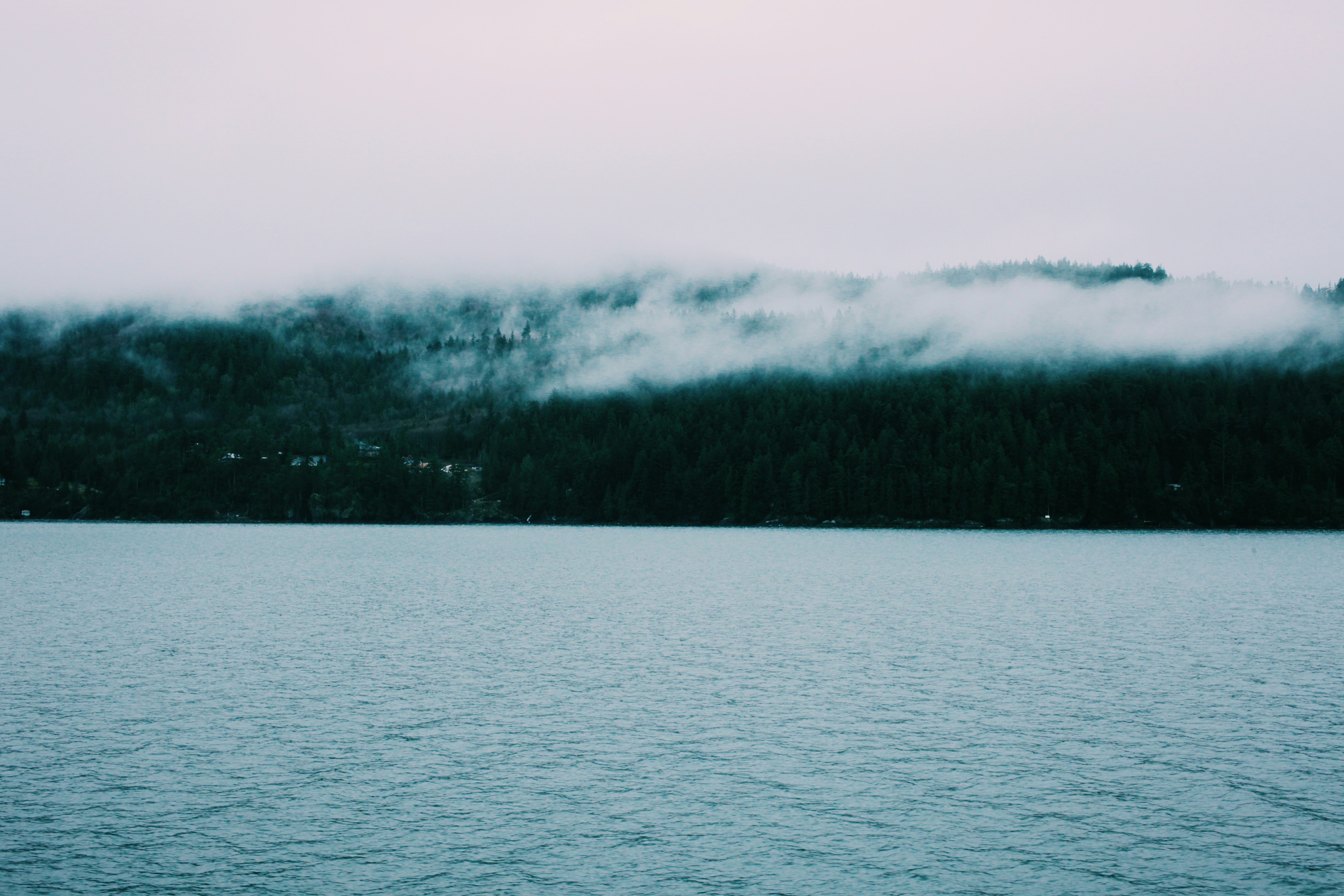 Free Unsplash photo from Ashlee