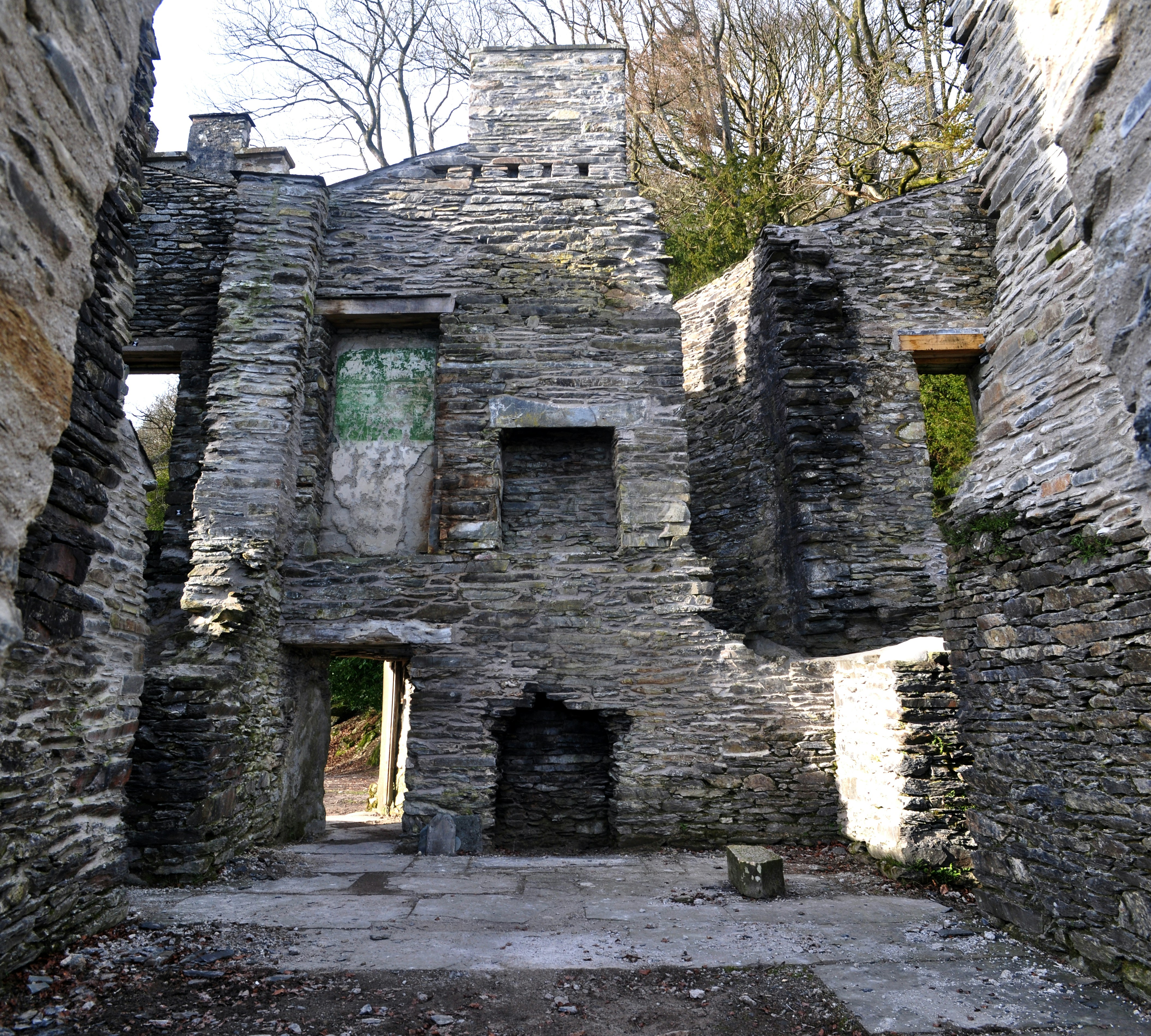 Free Unsplash photo from Becky Jones-Williams