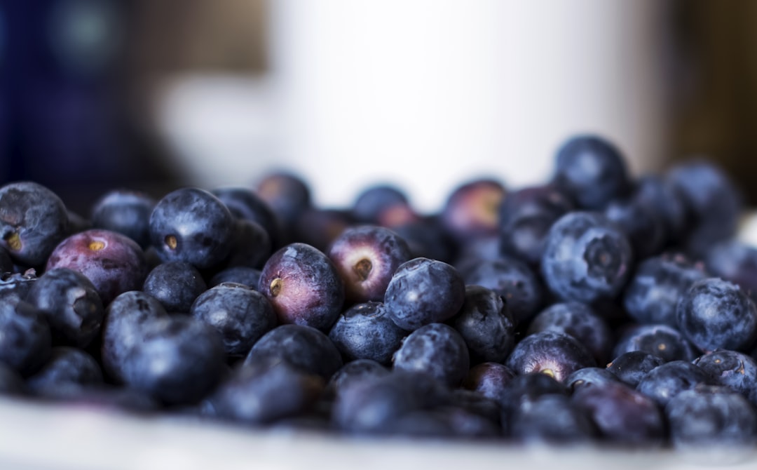 selective photography of blueberries, Fresh Fruit