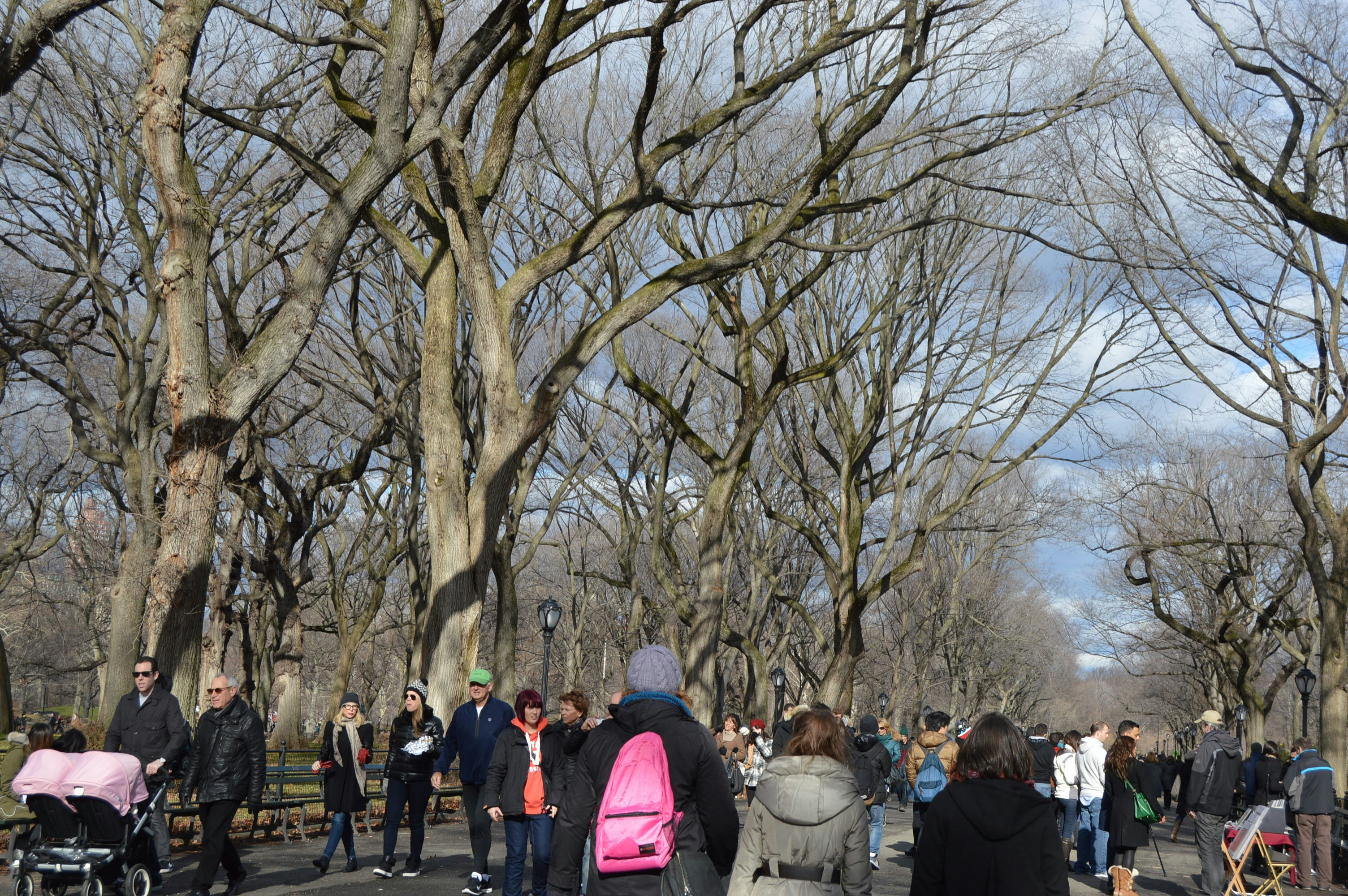 Free Unsplash photo from Claudia Comaru