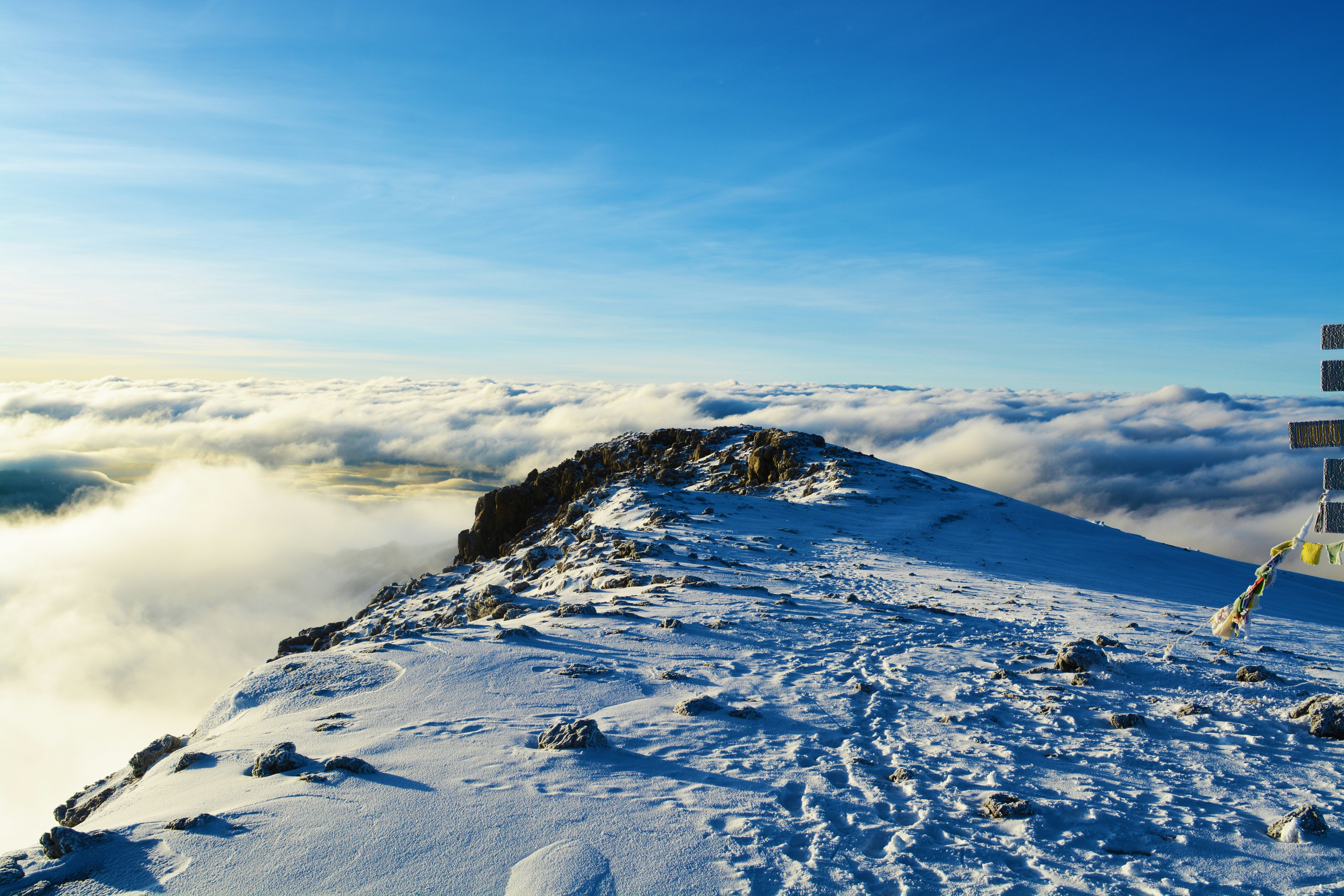 Free Unsplash photo from Joel Peel