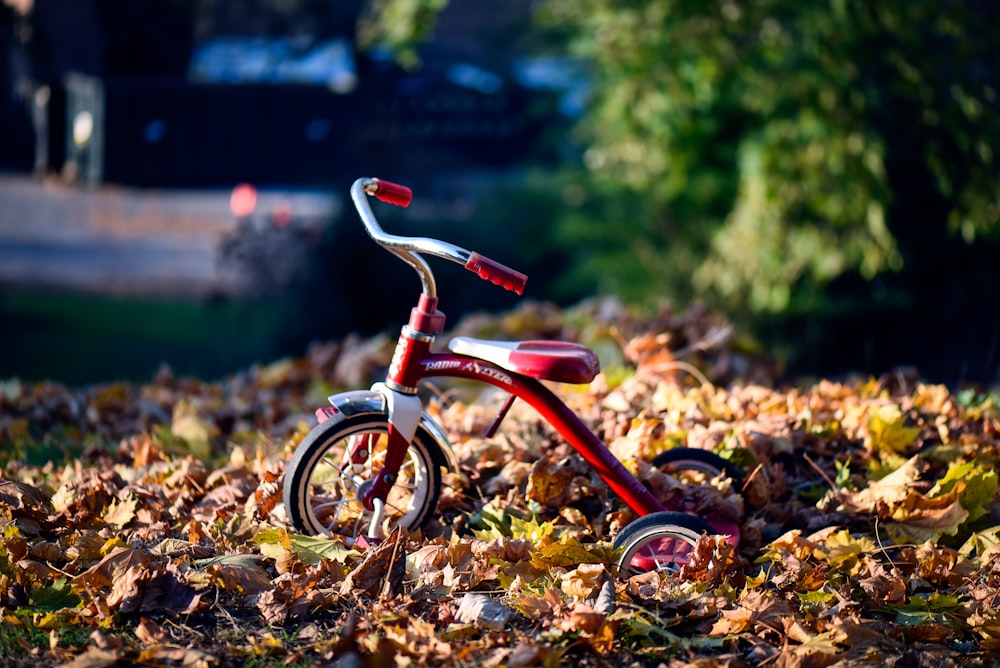 triciclo vermelho do rádio Flyer em folhas secas marrons