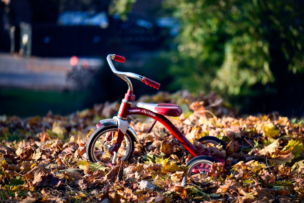 tricycle Radio Flyer rouge sur feuilles séchées brunes