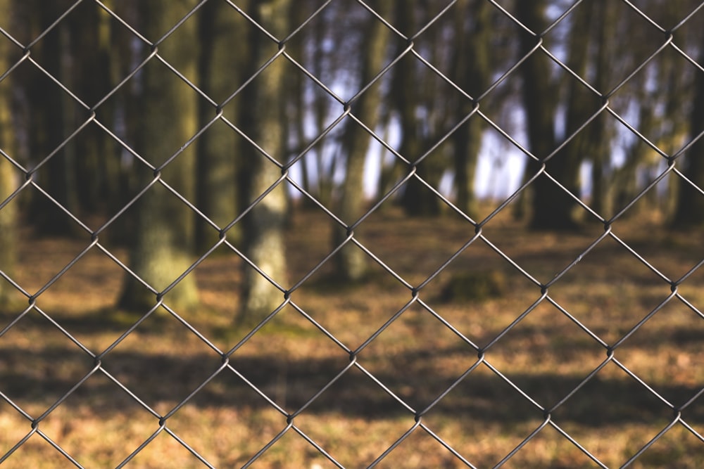 gray cyclone fence