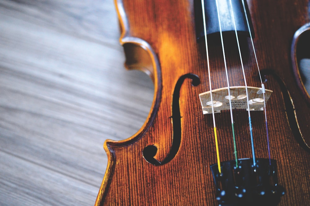 brown and black violin