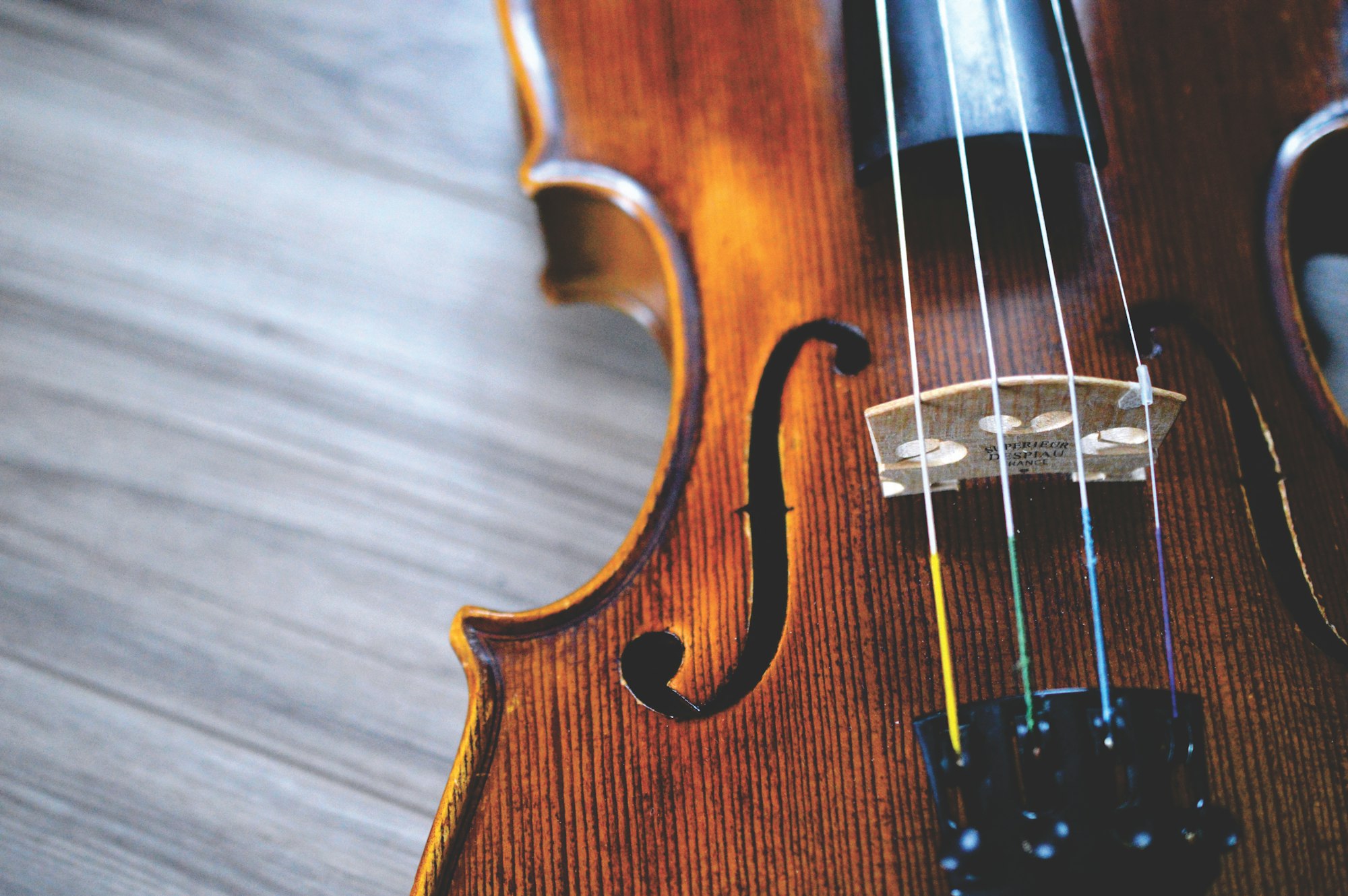 Violin strings in close-up