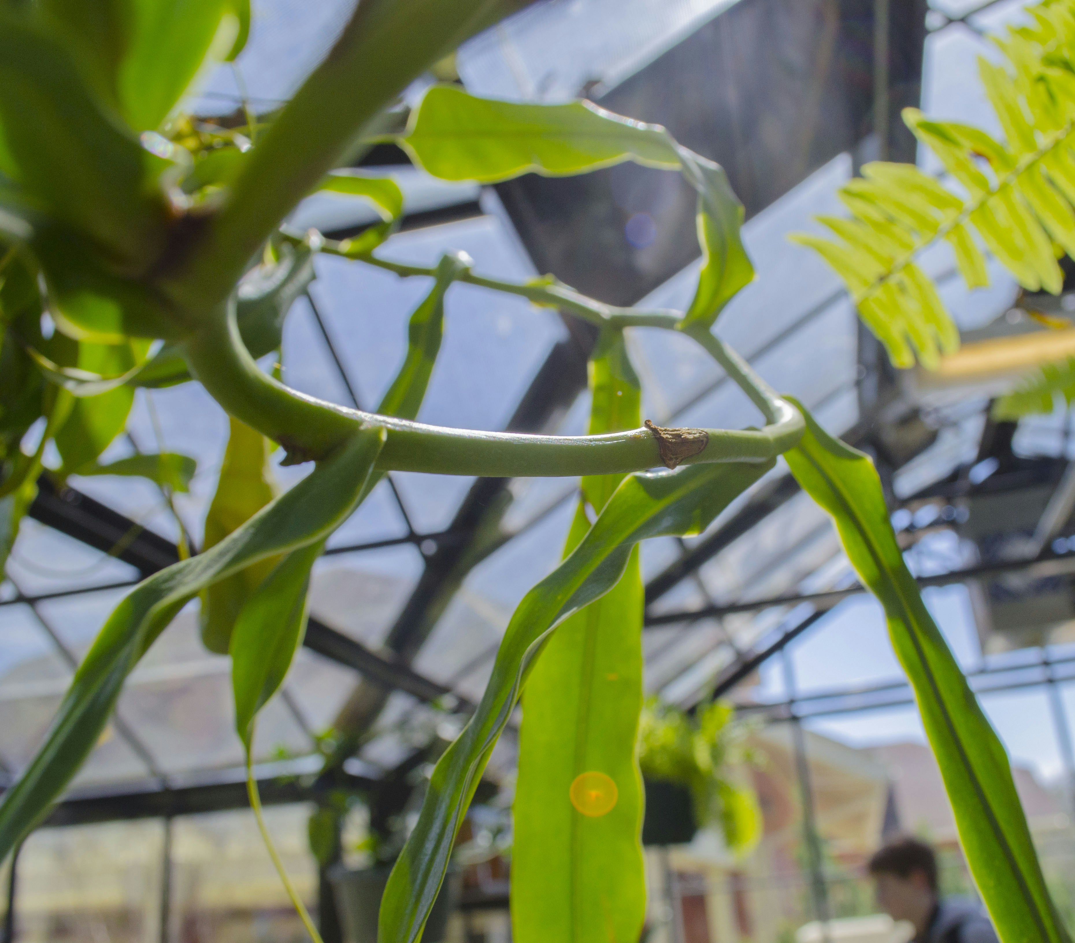 Free Unsplash photo from nathan Scott