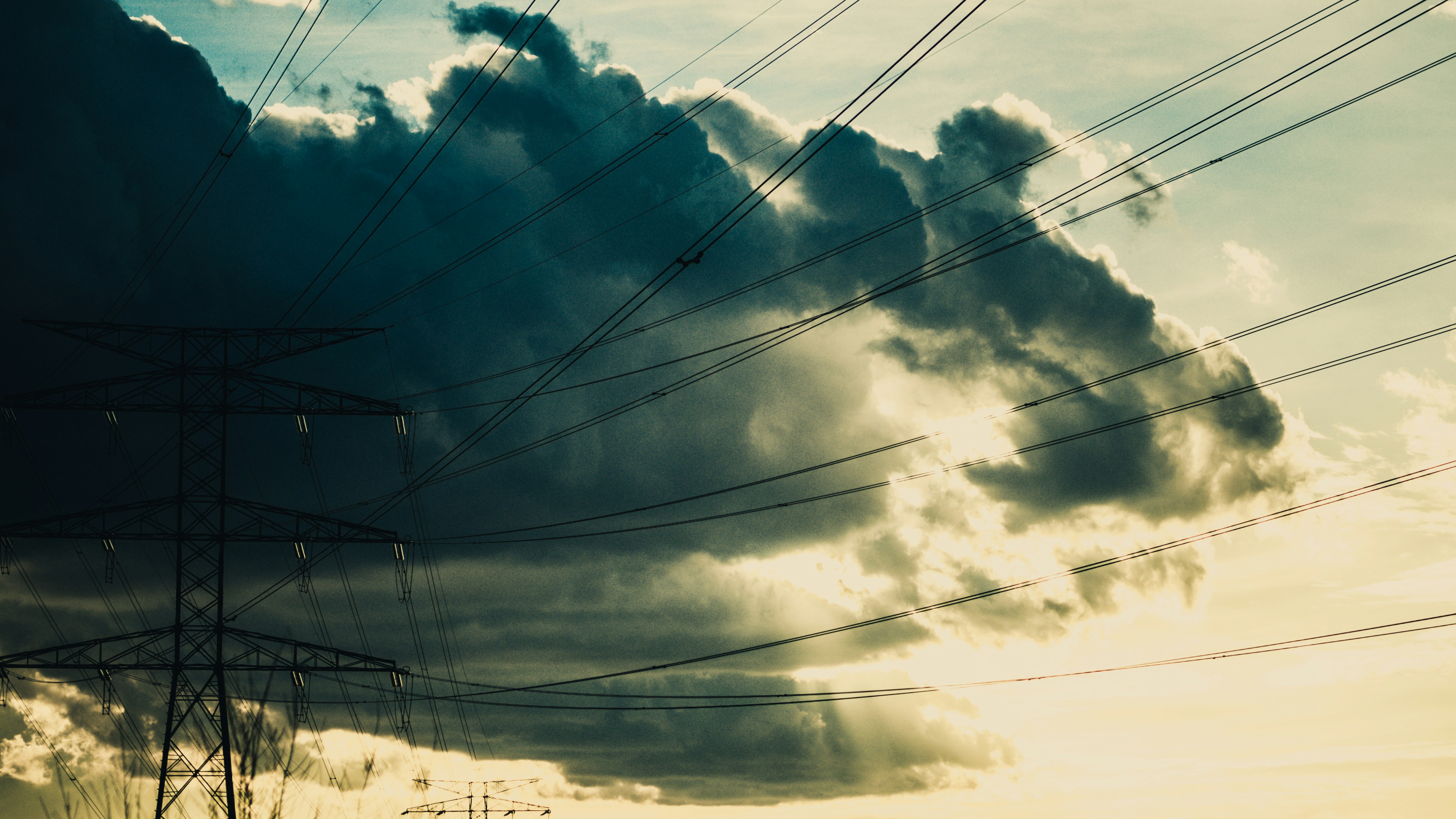 Free Unsplash photo from Edu Grande