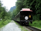 A vintage train travels along a narrow track flanked by lush green trees. The train’s rear car features a distinct red roof and a circular emblem indicating 'White Pass & Yukon Route'. The setting is a serene forested area with a gravel path paralleling the train tracks.