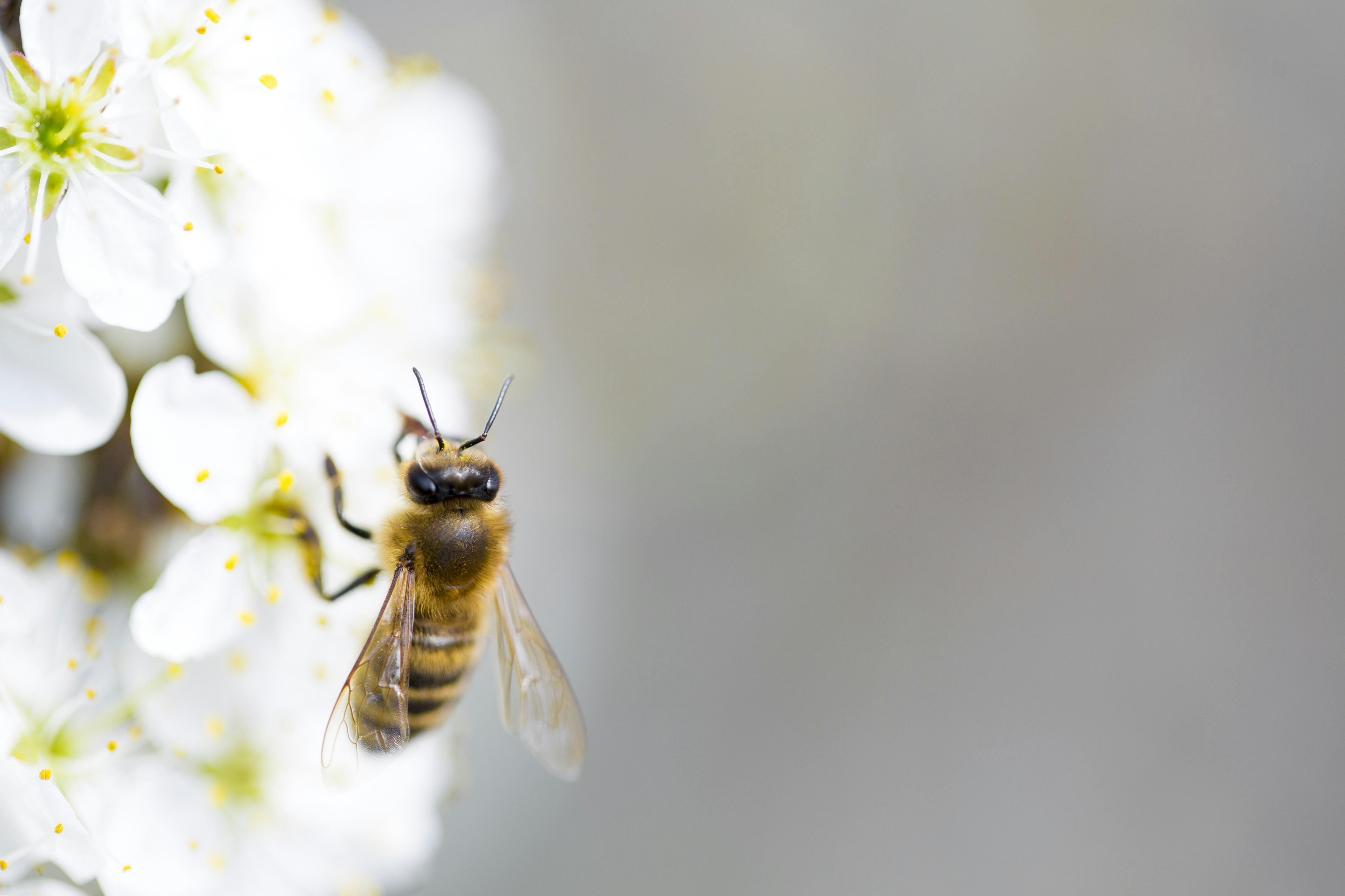 Photo By Timon Studler