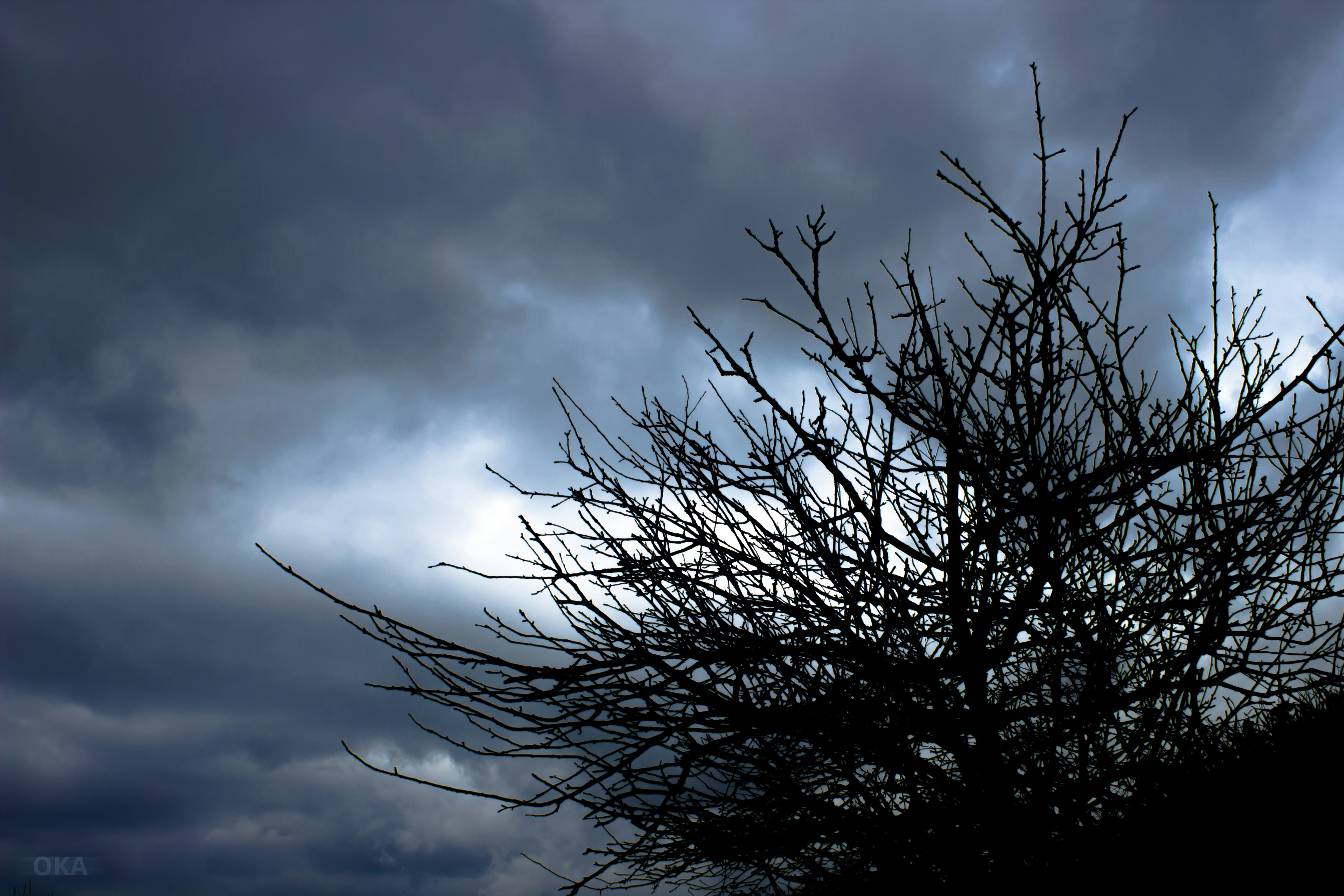 Free Unsplash photo from Oğuzhan Kürşad Ağralı