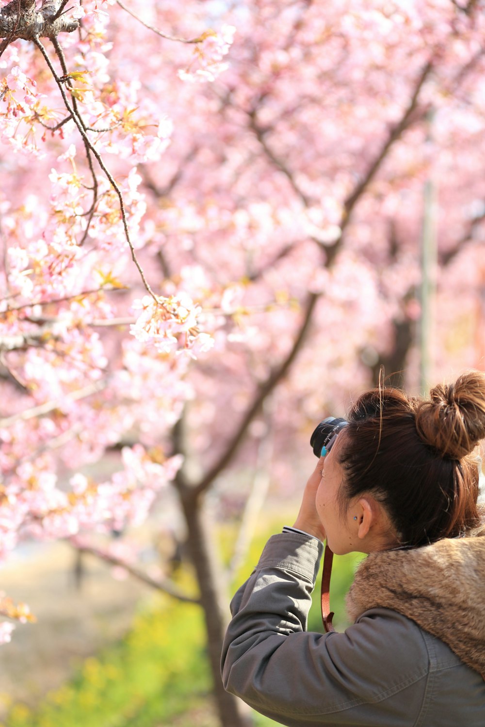 Una donna che scatta una foto di un albero di ciliegio in fiore