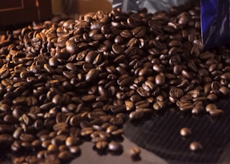 A close-up view of a large pile of coffee beans, with a shiny, dark brown color. The beans are spread out on a surface, reflecting a mixture of direct and soft lighting, creating highlights on their surfaces. The scene gives a sense of abundance and richness, with subtle textures visible in the beans' contours.