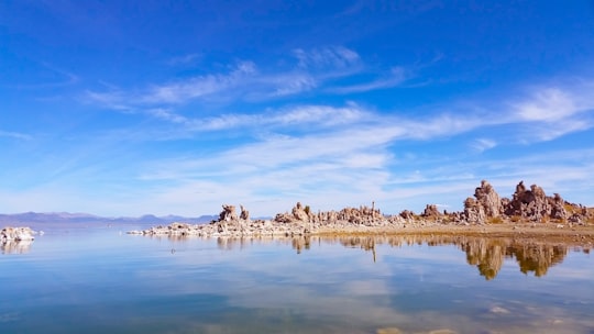 brown island on body of water in Mono Lake United States