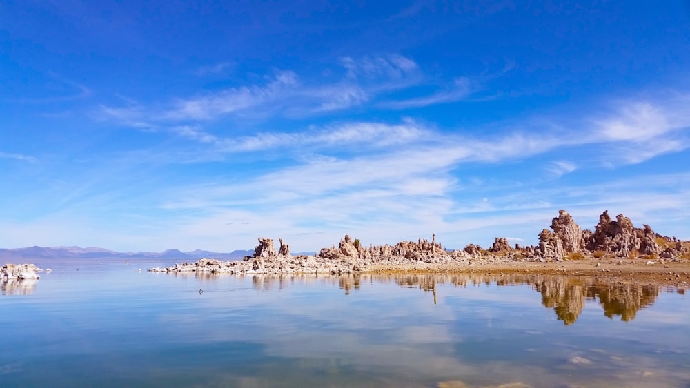 Isla marrón en el cuerpo de agua