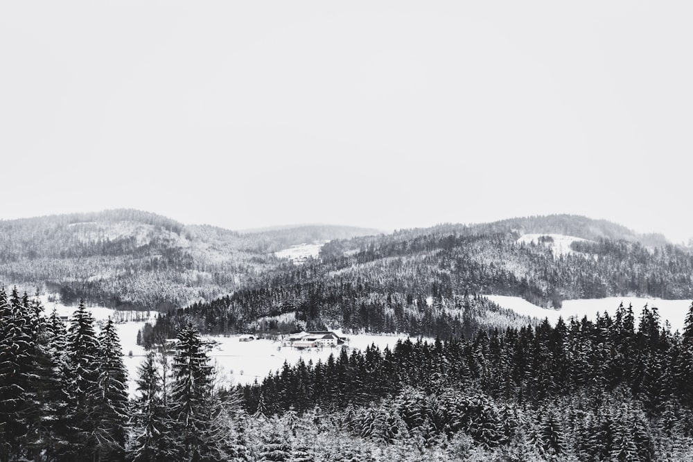 fotografia de montanha coberta de neve e floresta durante o dia