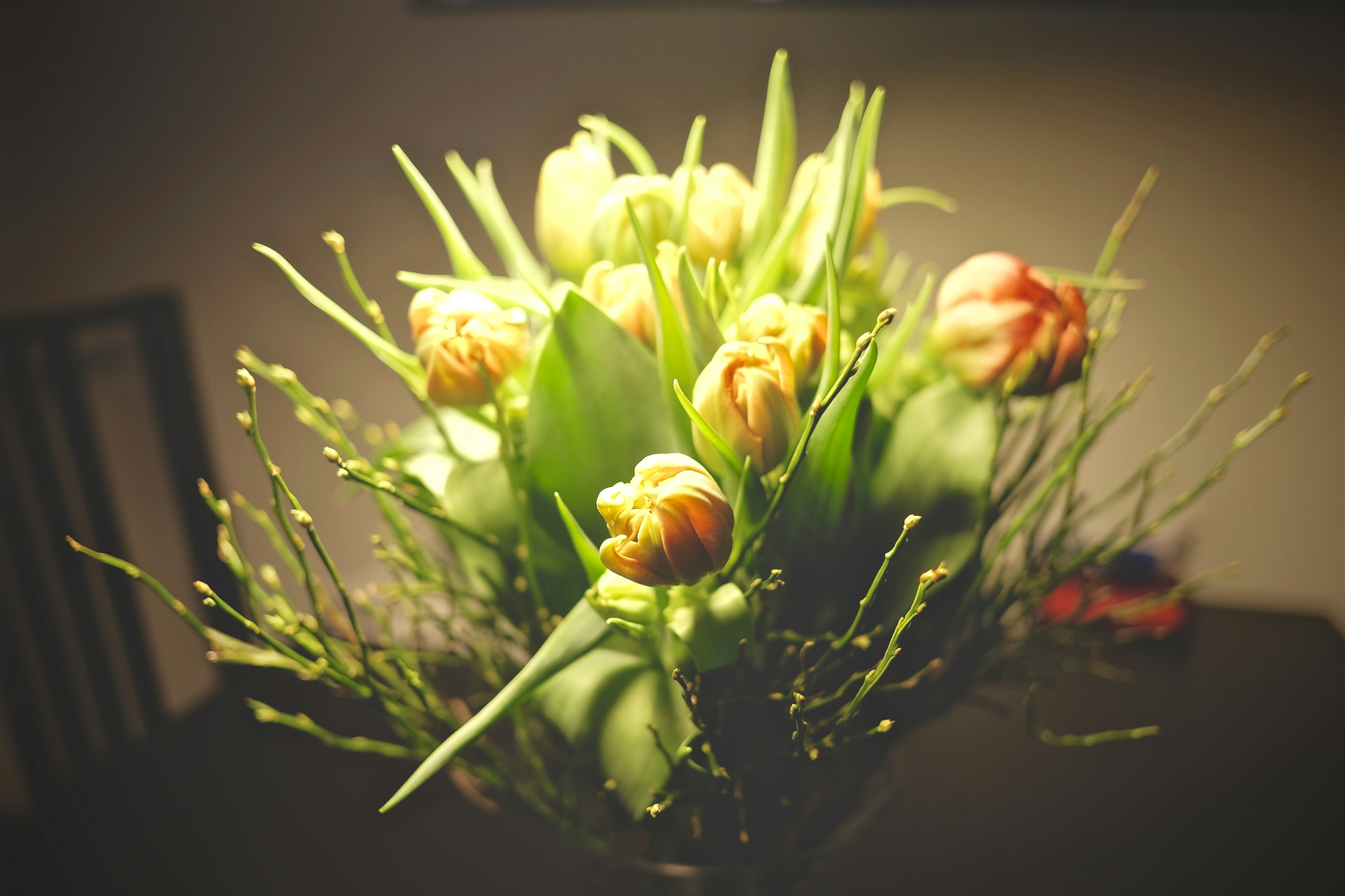 Free Unsplash photo from Malte Bremer