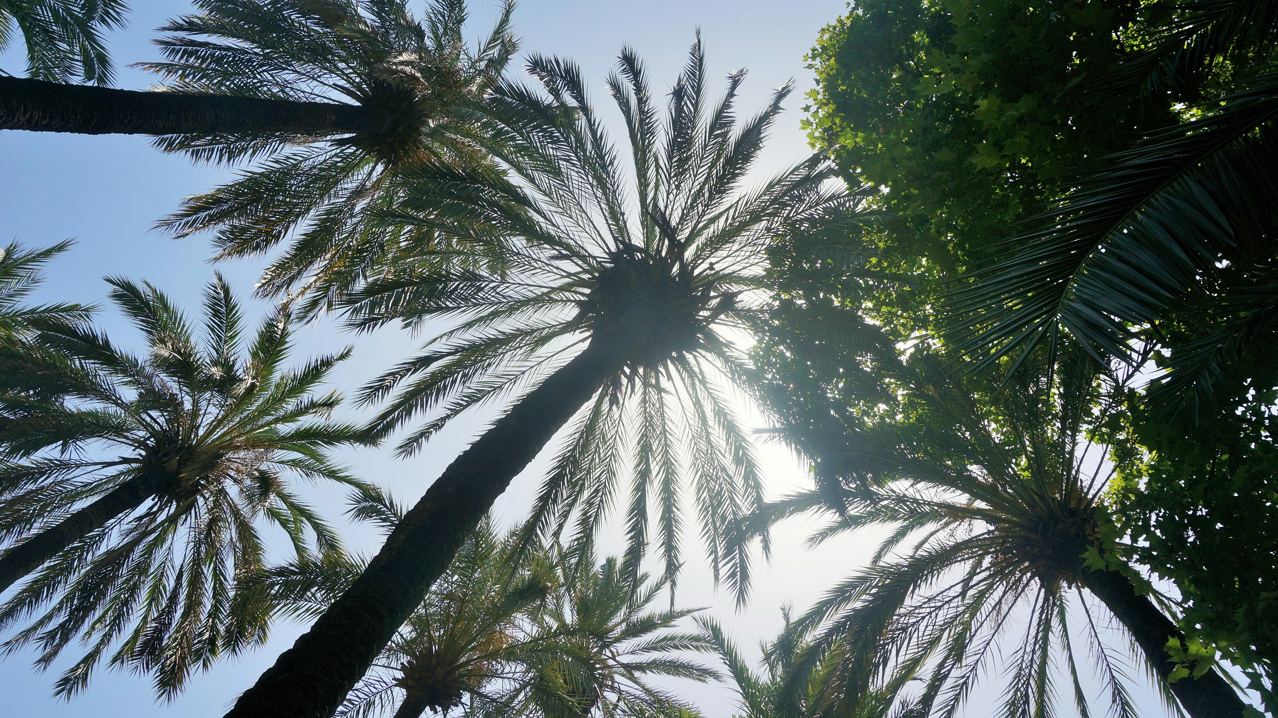 Free Unsplash photo from Emily Planek