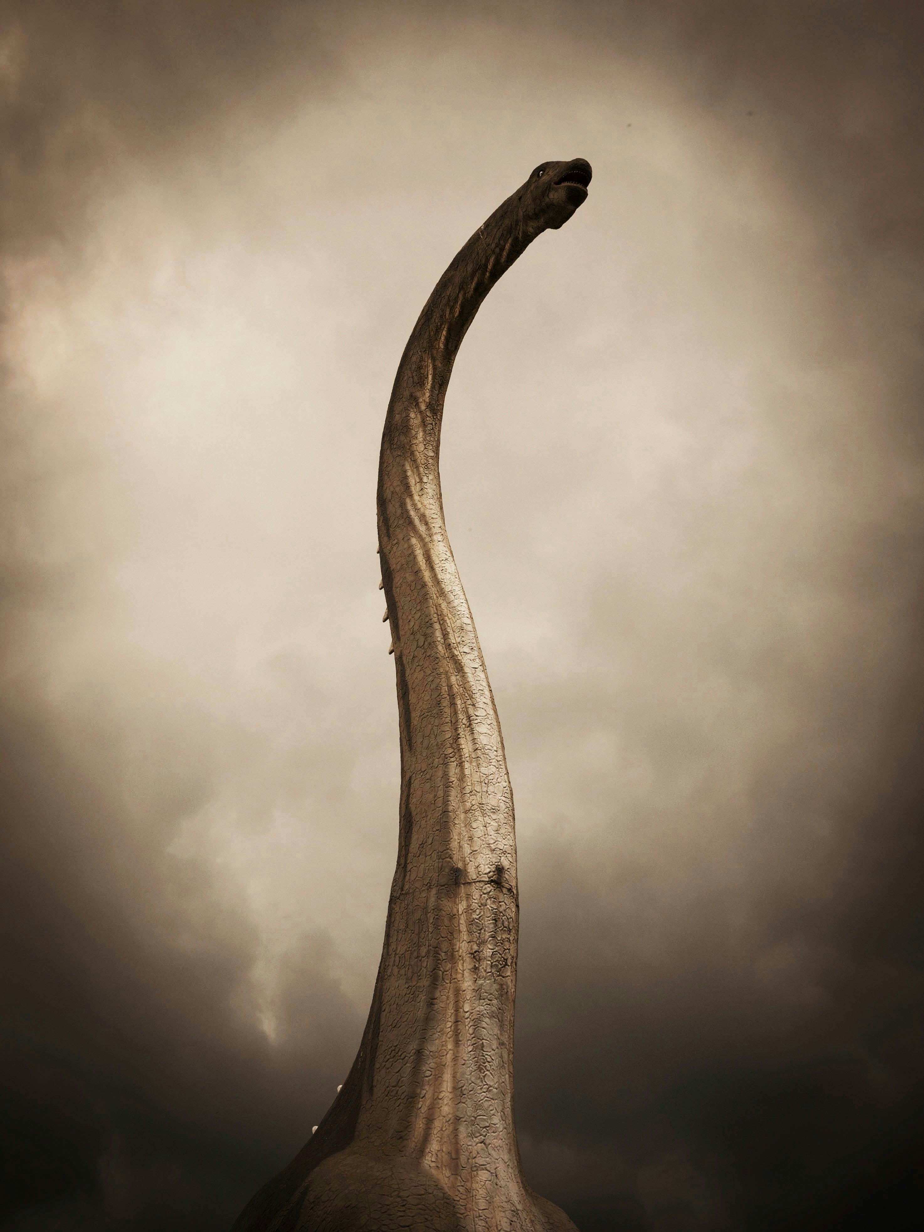 Free Unsplash photo from Michael Kahl