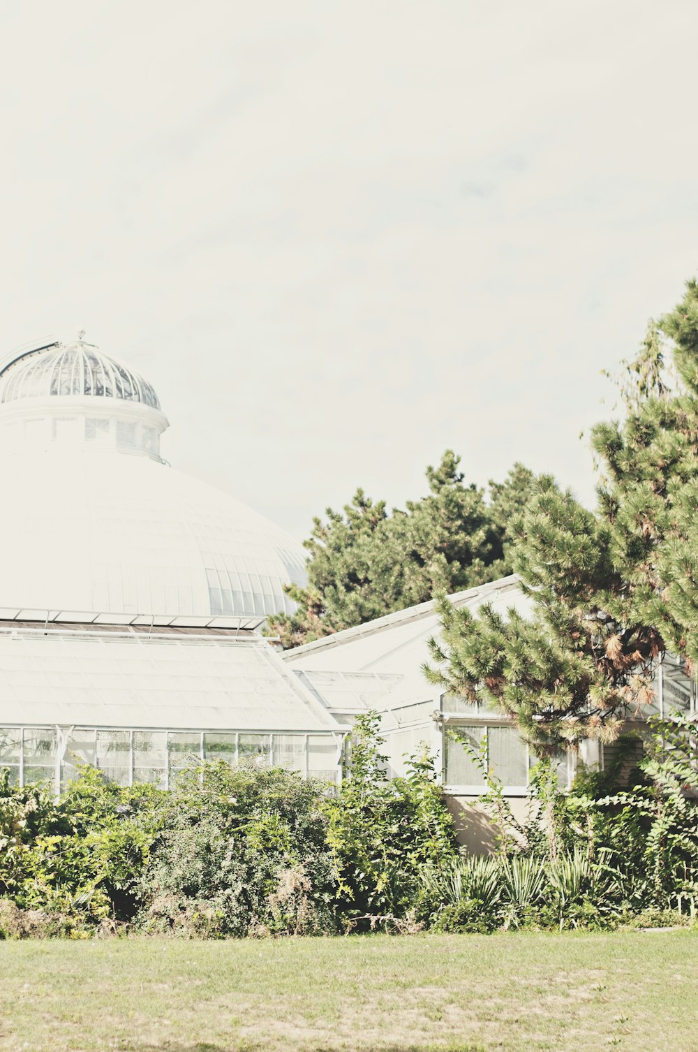 selective focus photography of white building