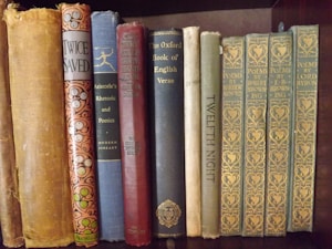 Vintage Book Set