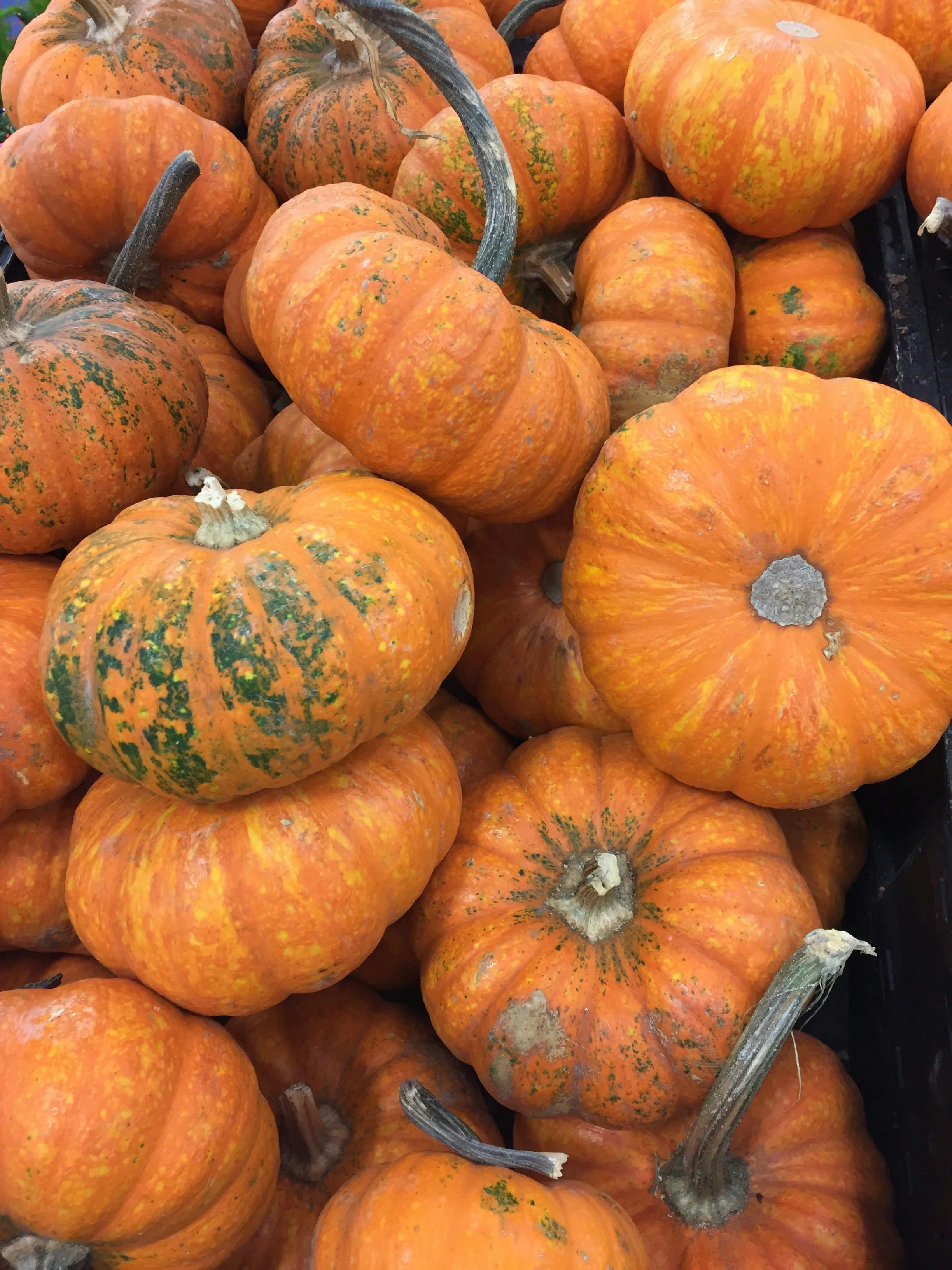 Free Unsplash photo from Fernando Sarmiento