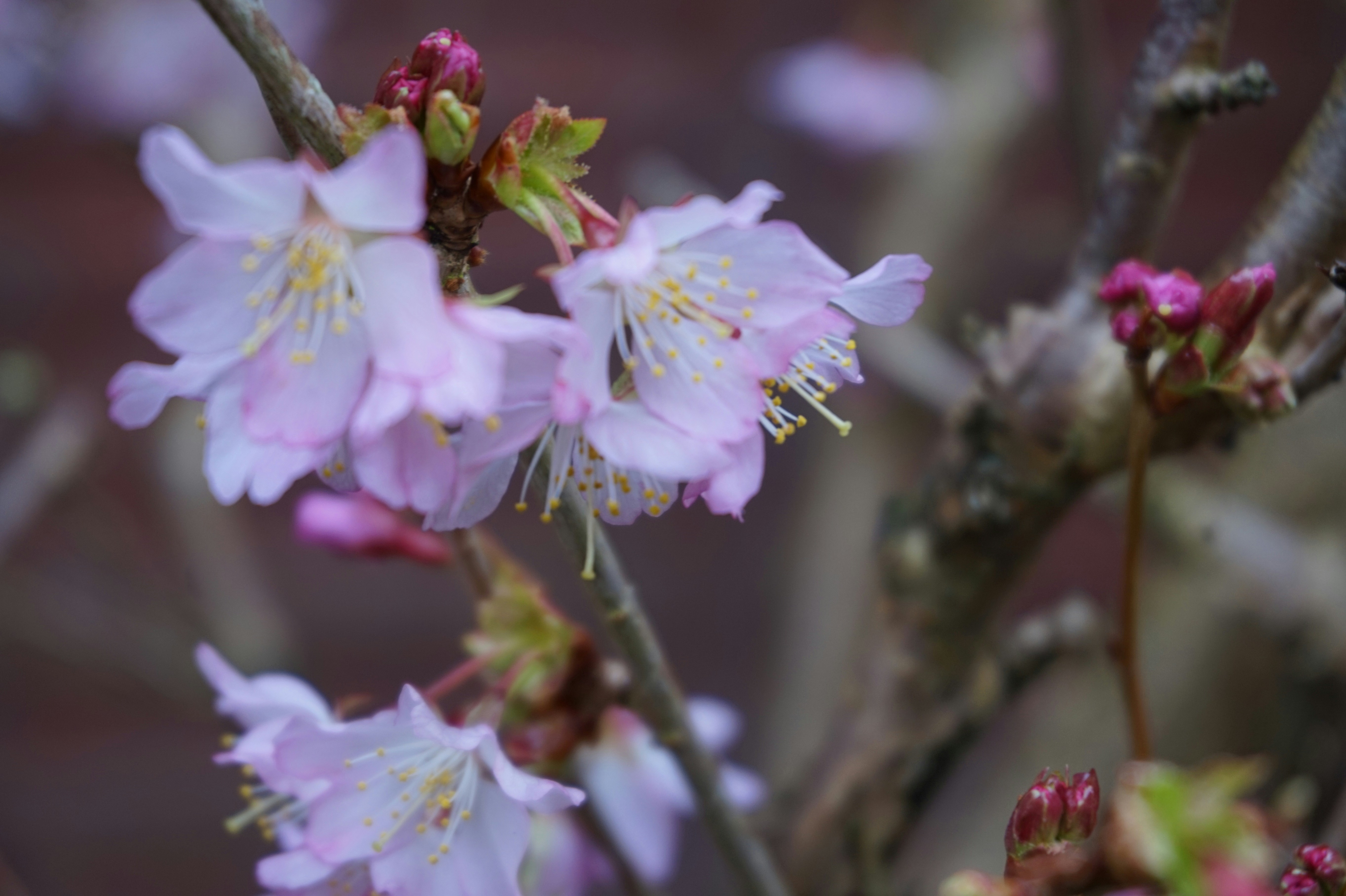 Free Unsplash photo from Om Vel