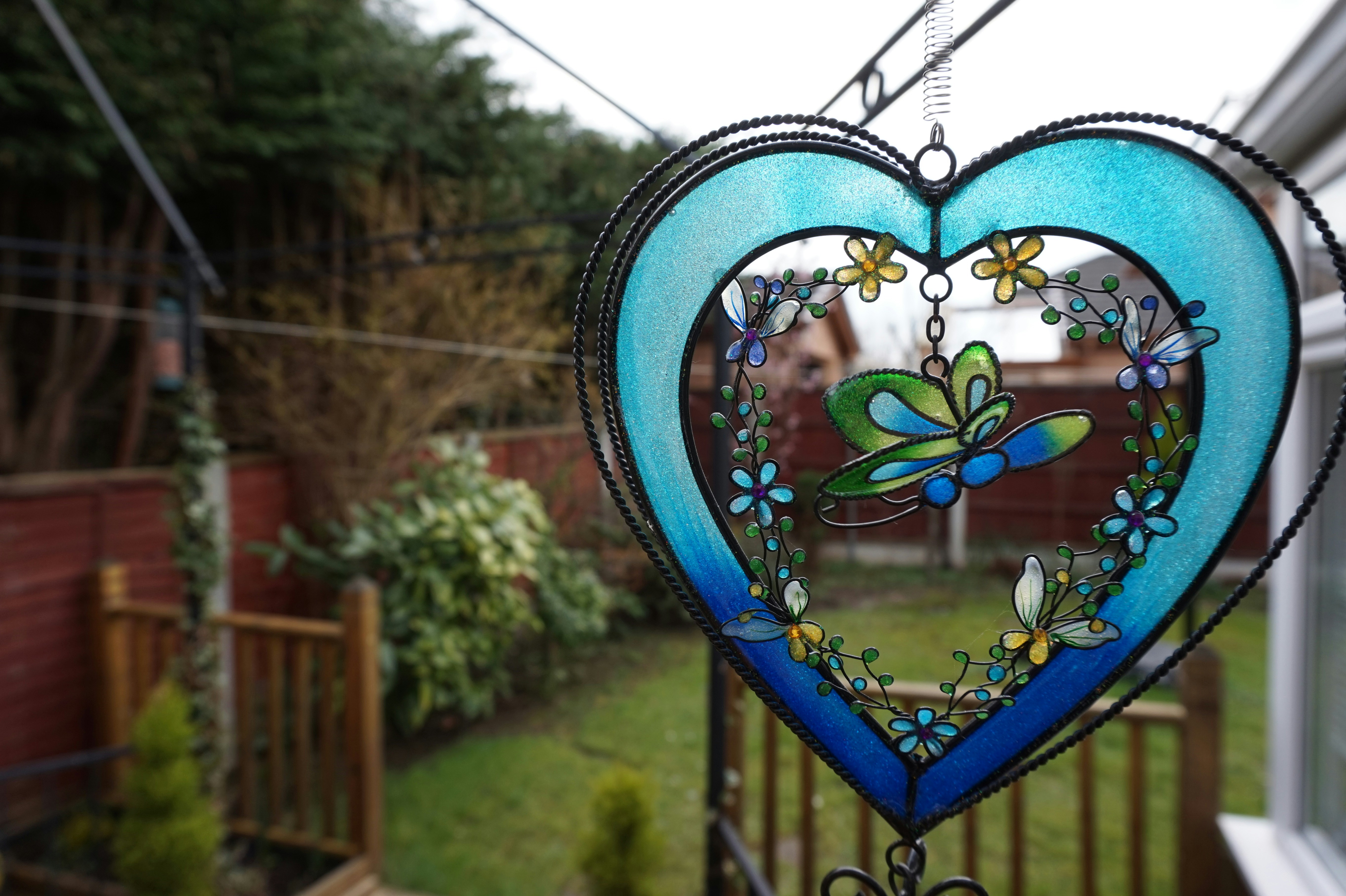 Free Unsplash photo from Om Vel