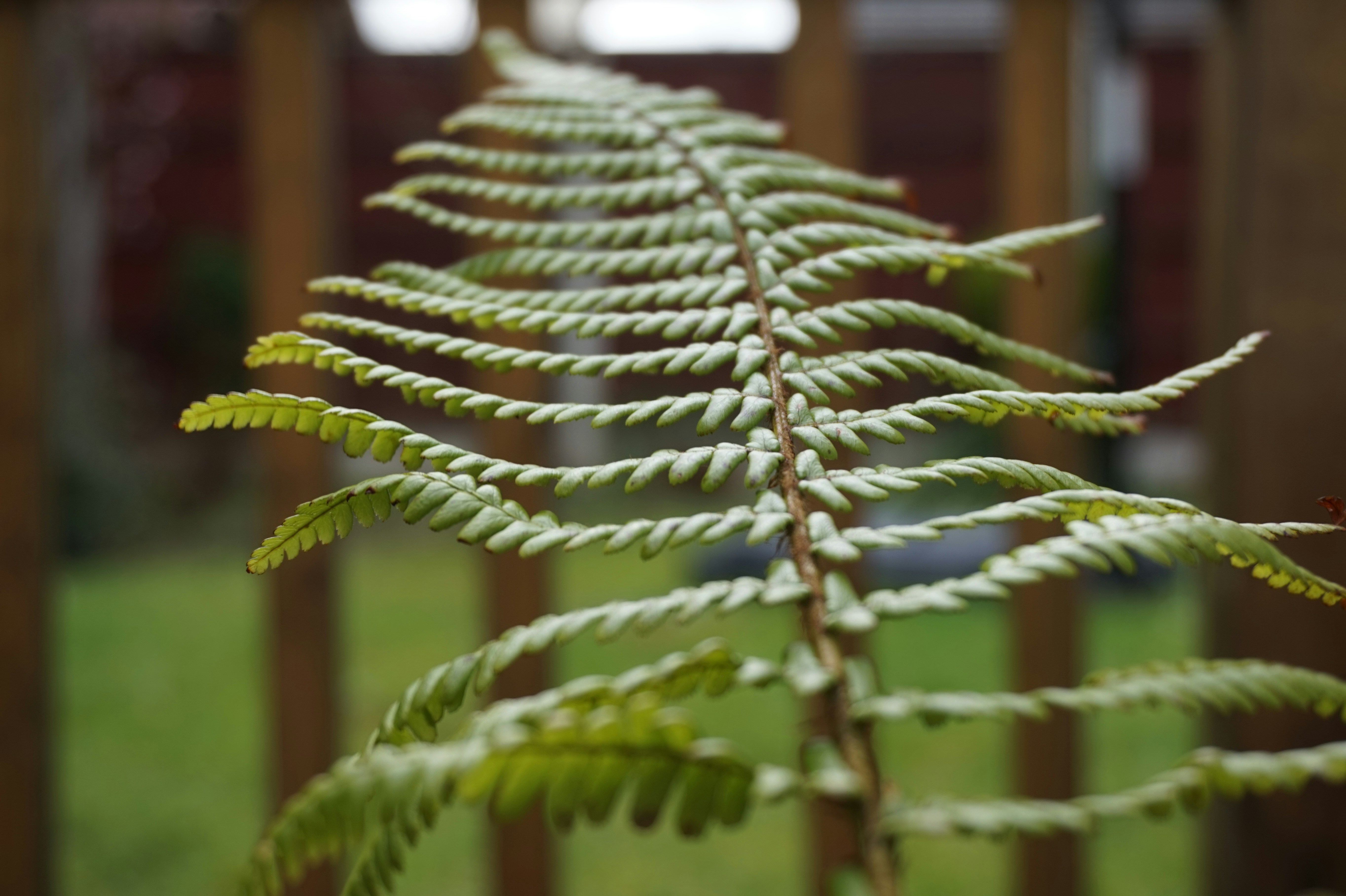 Free Unsplash photo from Om Vel