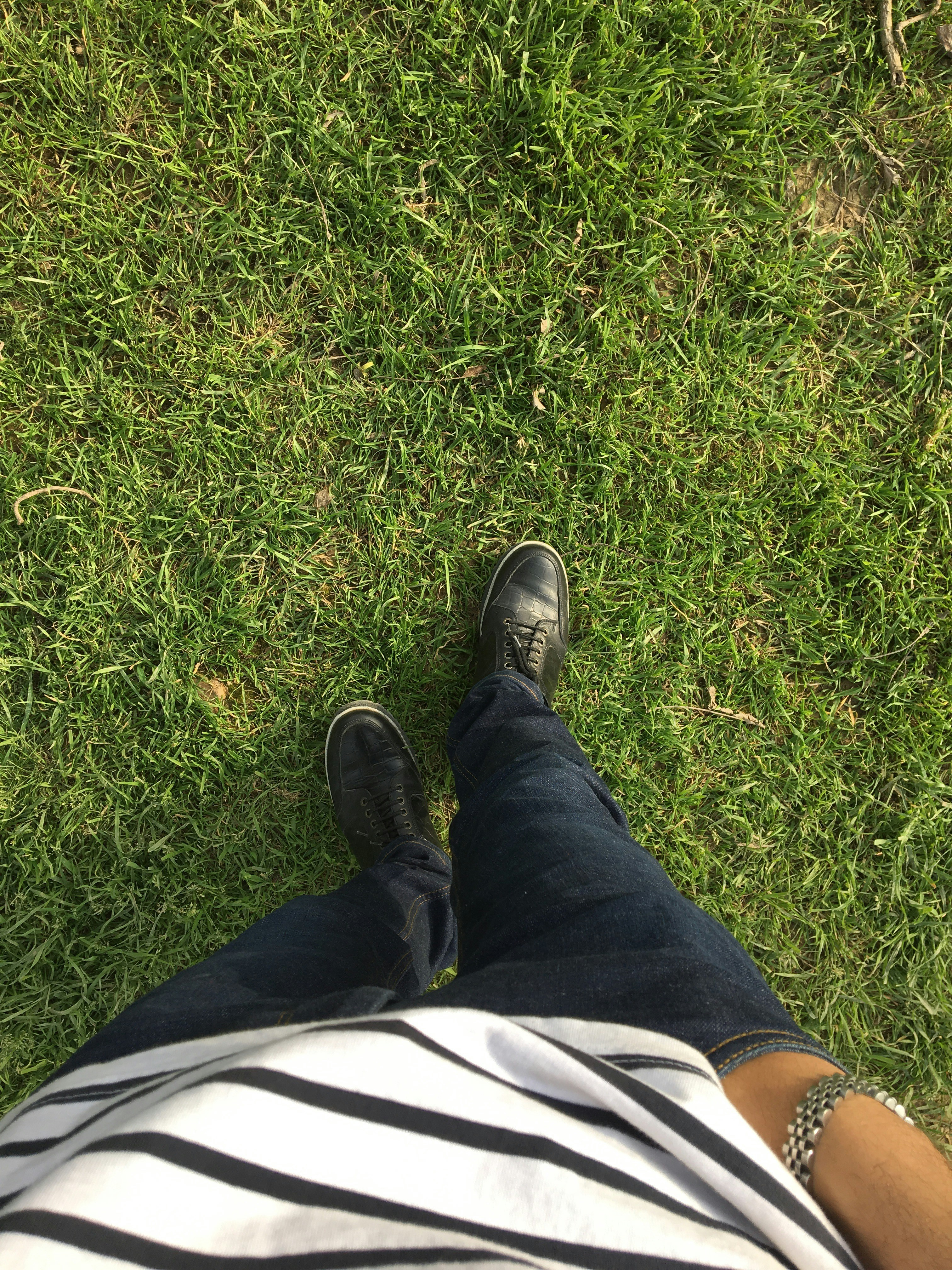 Free Unsplash photo from Ali Taheri