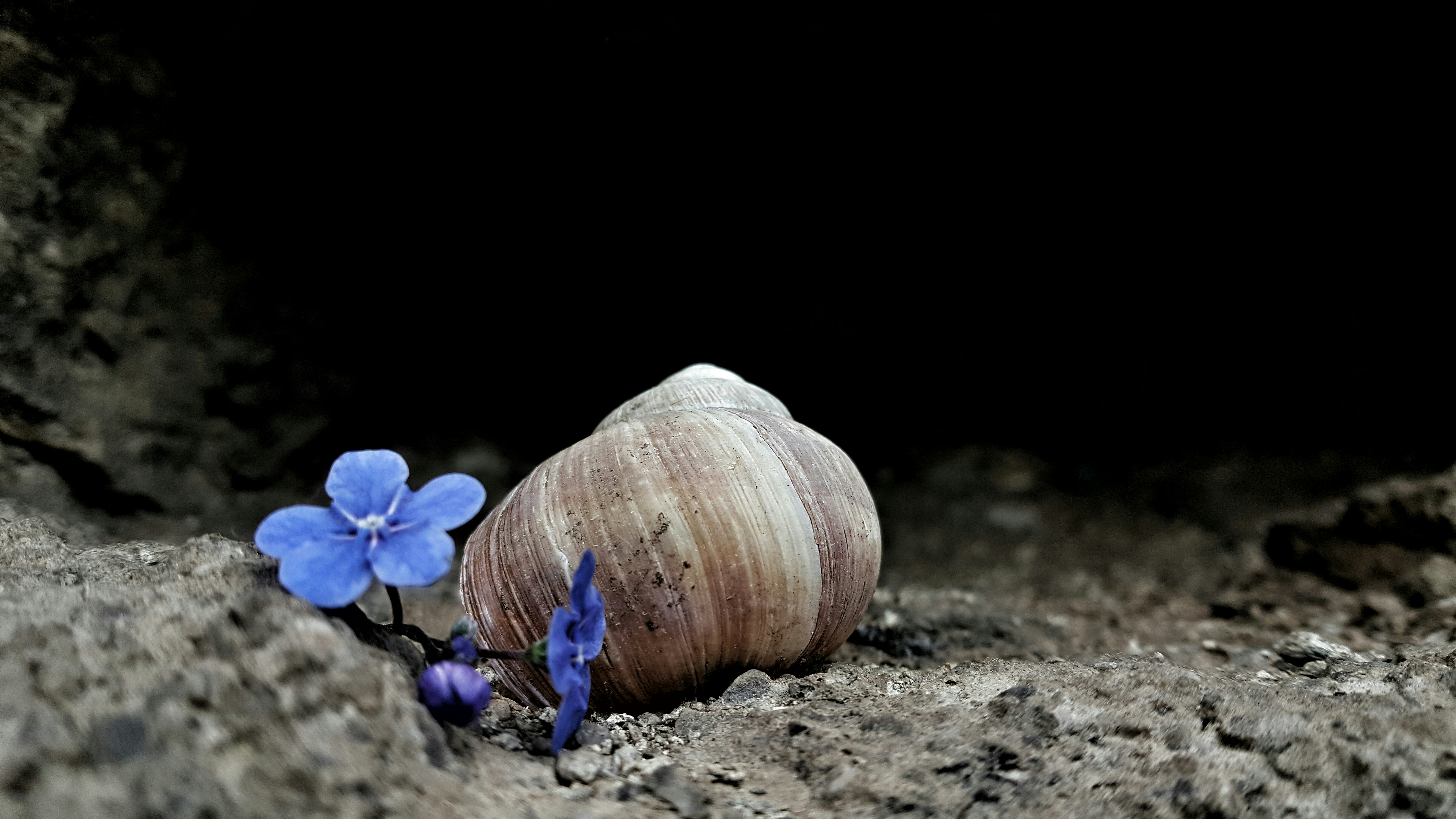 Free Unsplash photo from Edin Ibrahimi