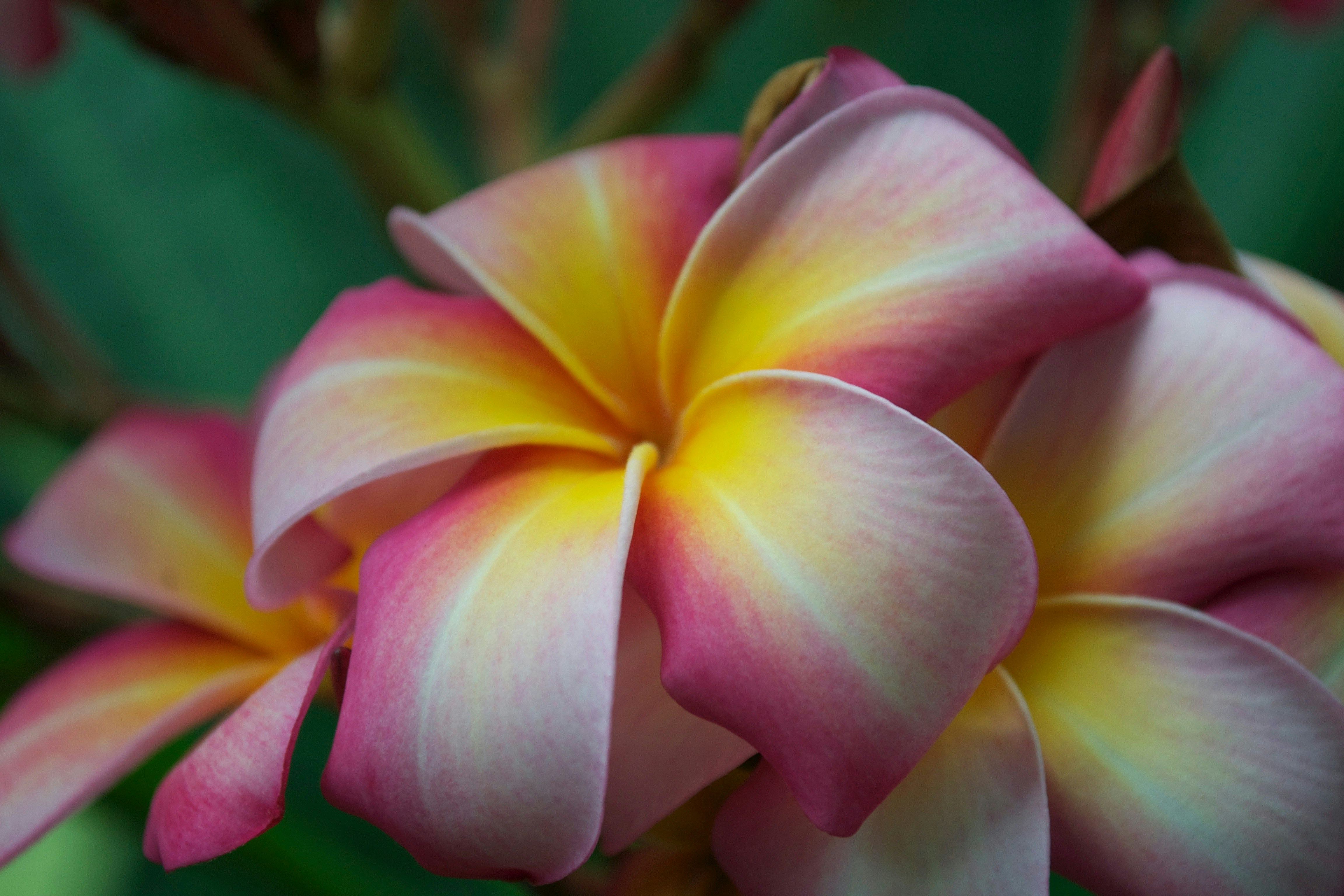 Free Unsplash photo from William Felker