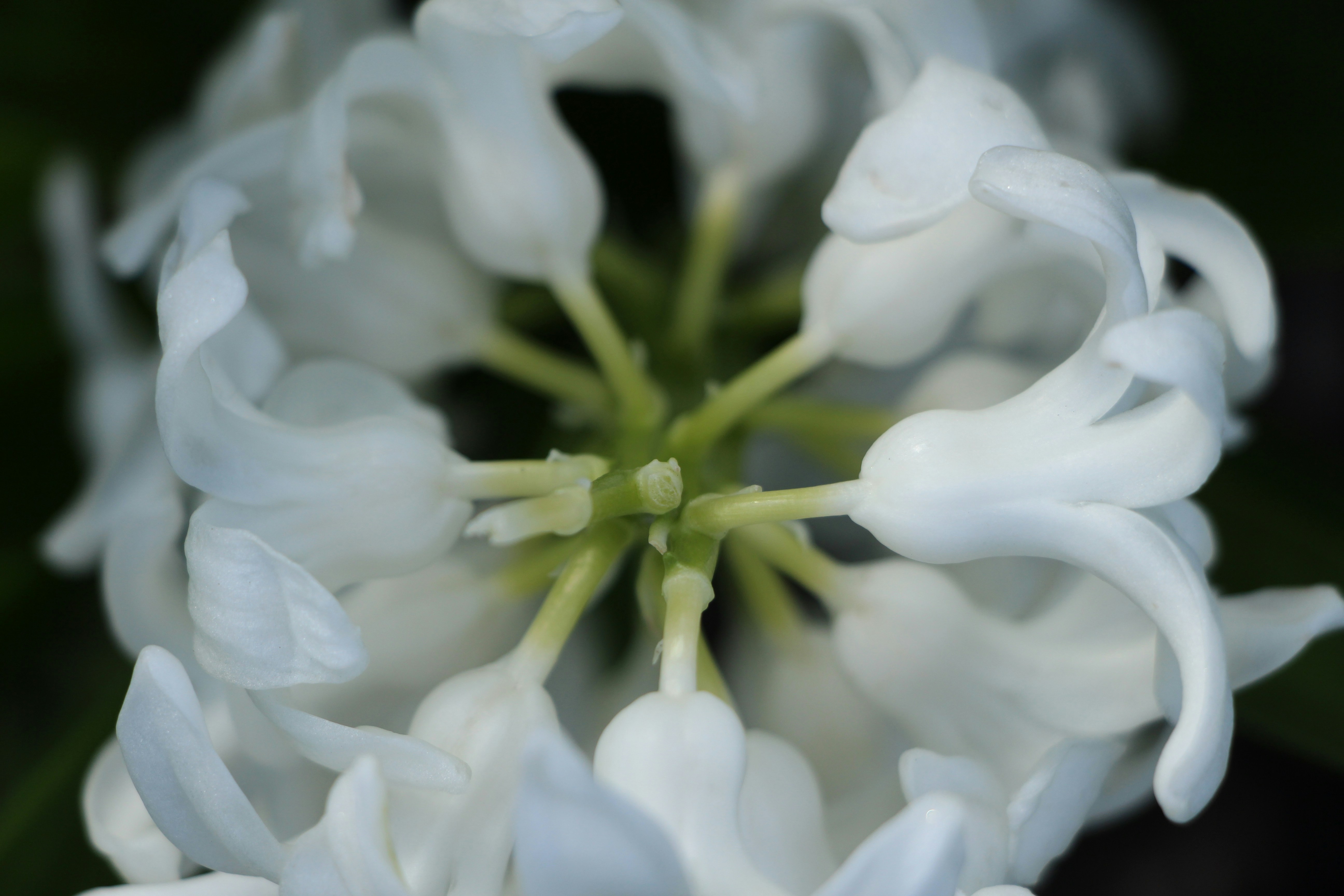 Photo By Marcela Andrade