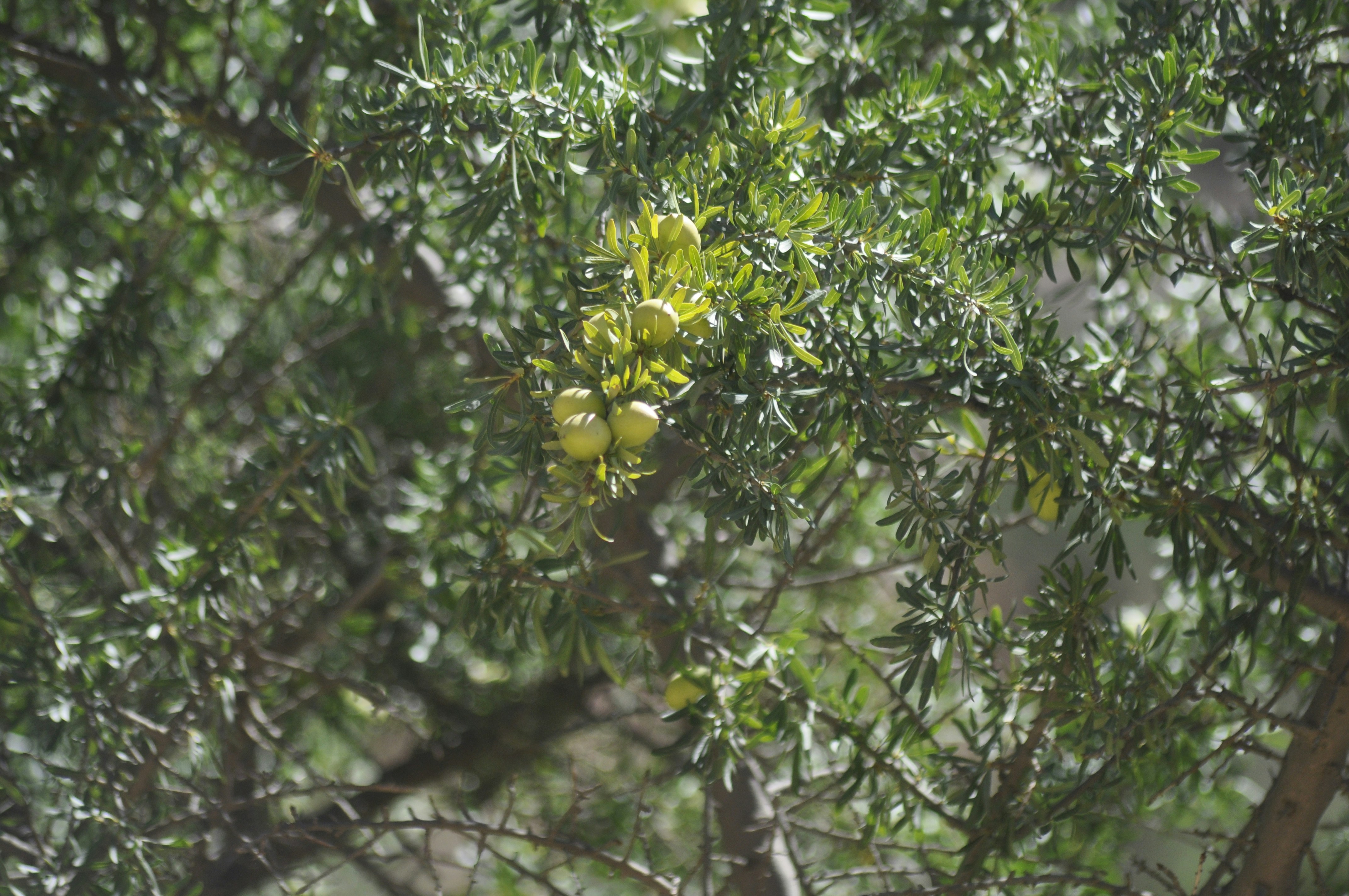 Free Unsplash photo from Muhammed Yari