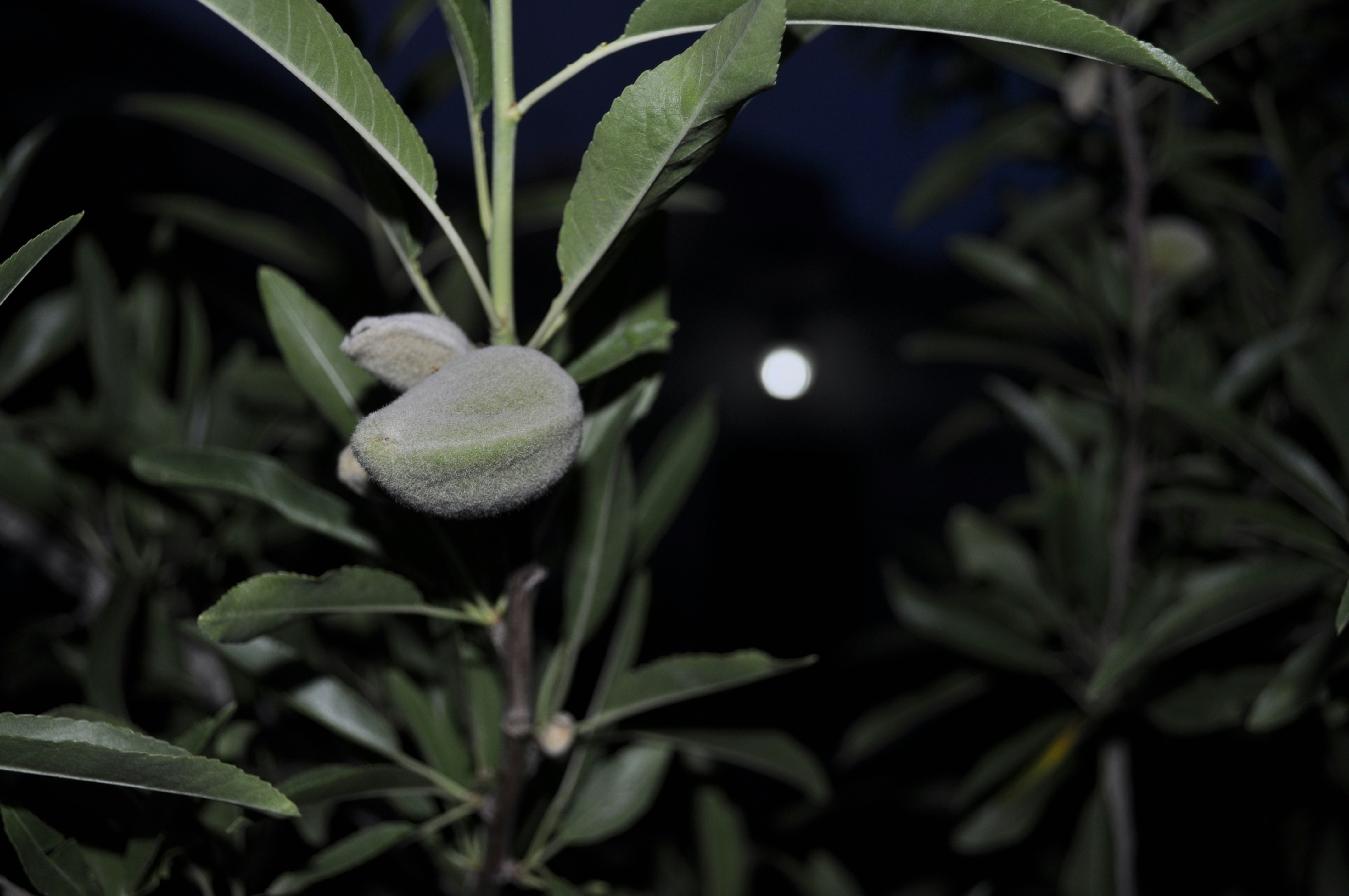 Free Unsplash photo from Muhammed Yari