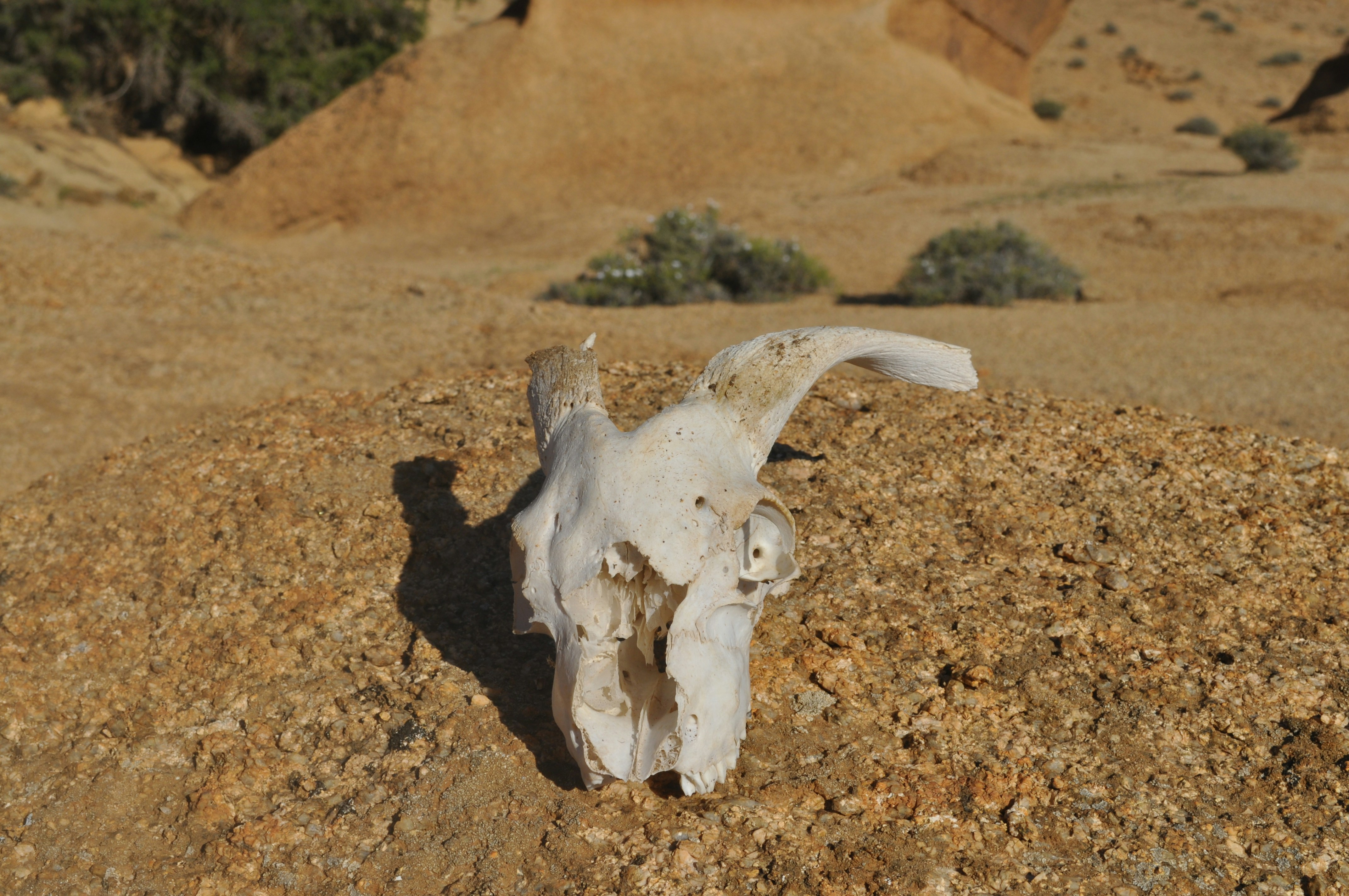 Free Unsplash photo from Muhammed Yari