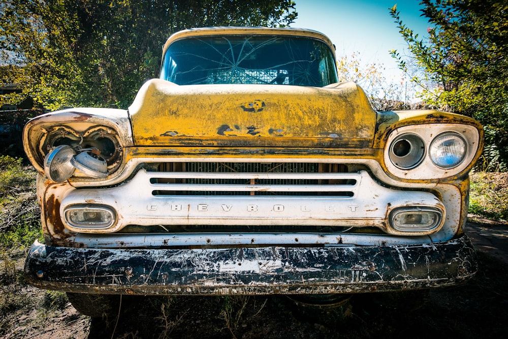 vintage Chevrolet car on forest