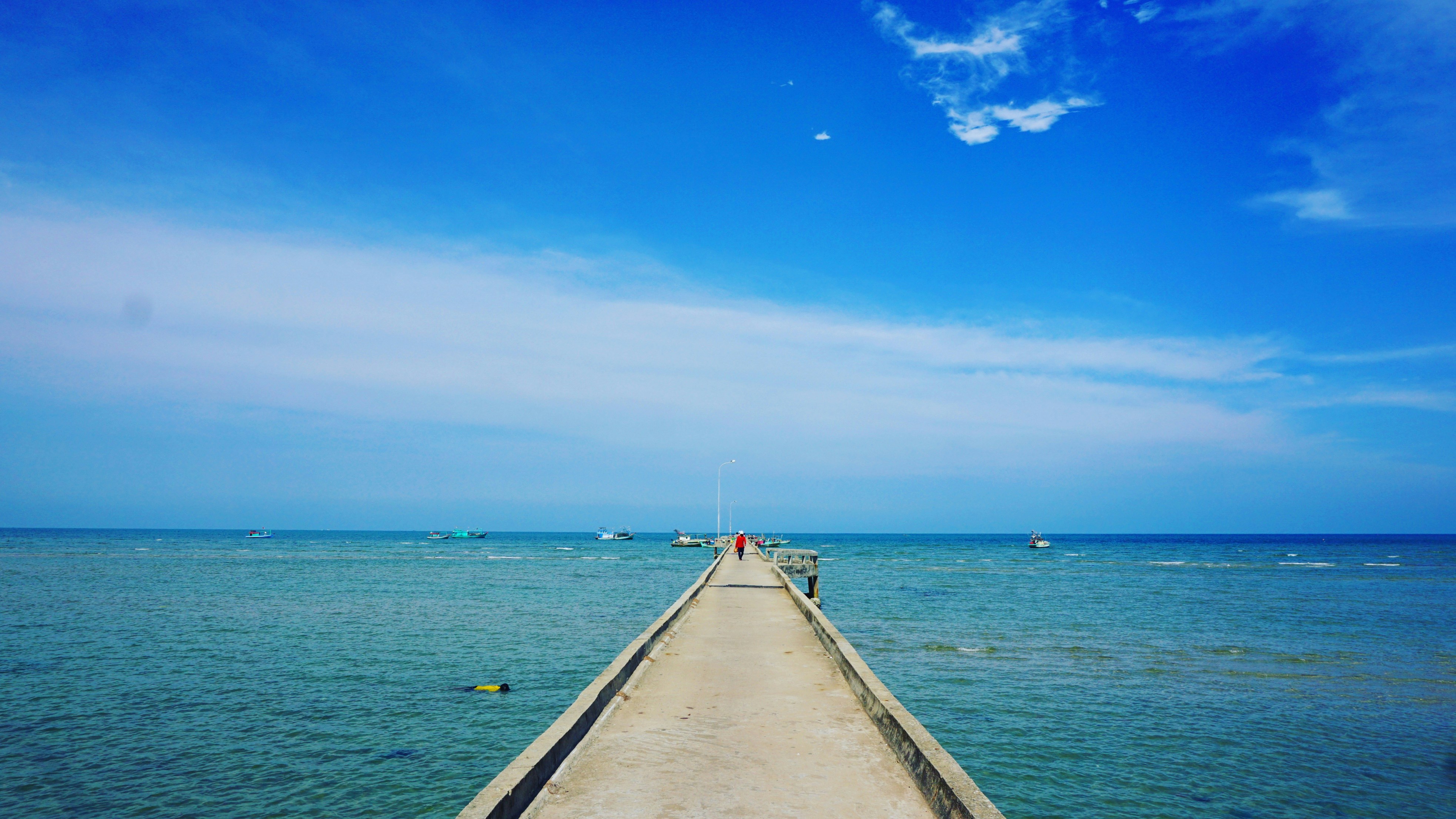 Free Unsplash photo from Vincent Dao