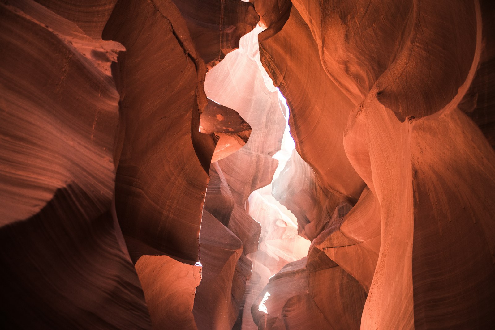 Nikon D810 + Tamron SP 24-70mm F2.8 Di VC USD sample photo. Antelope canyon, arizona photography