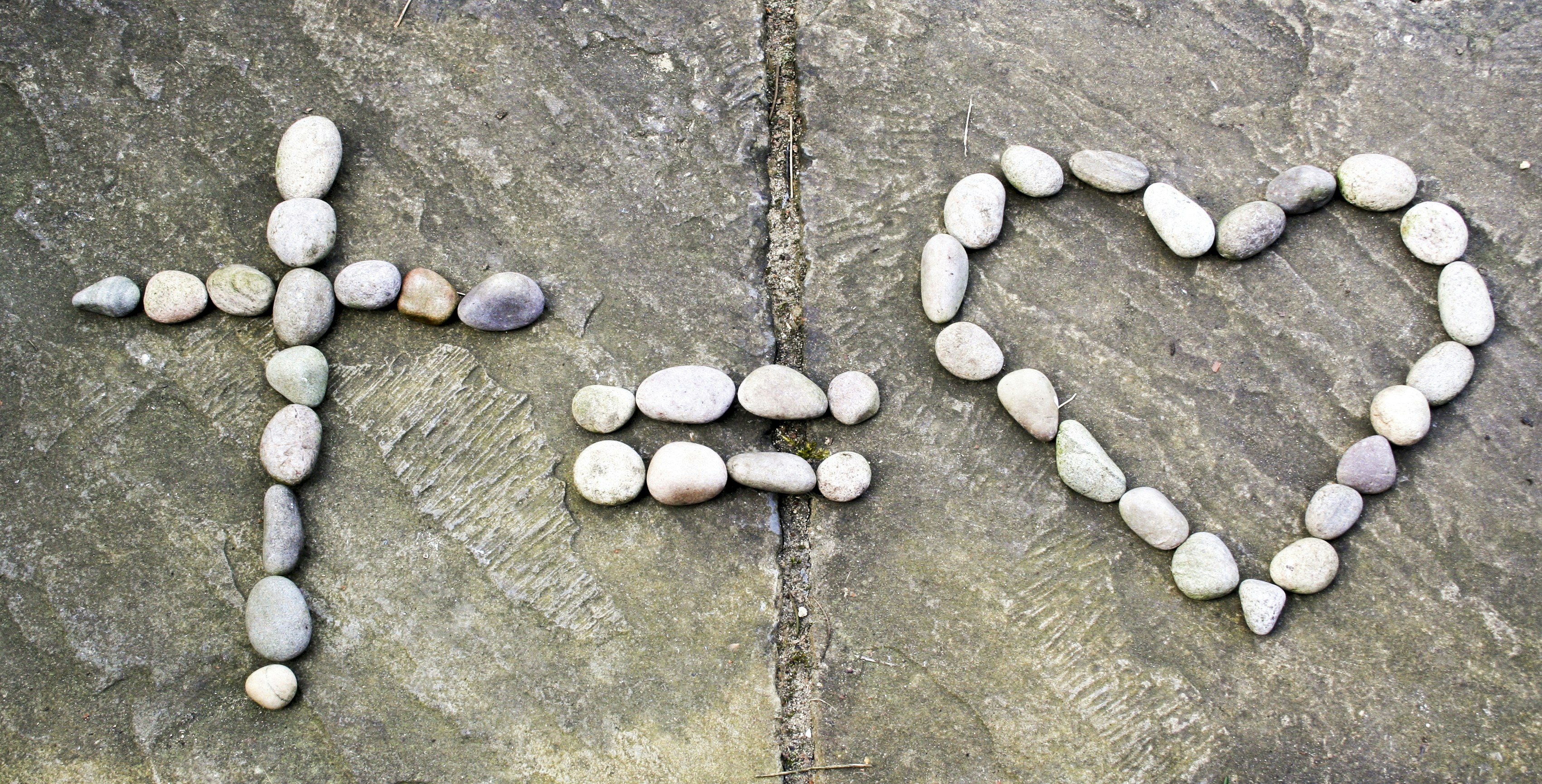 Free Unsplash photo from Seila Ambrocio