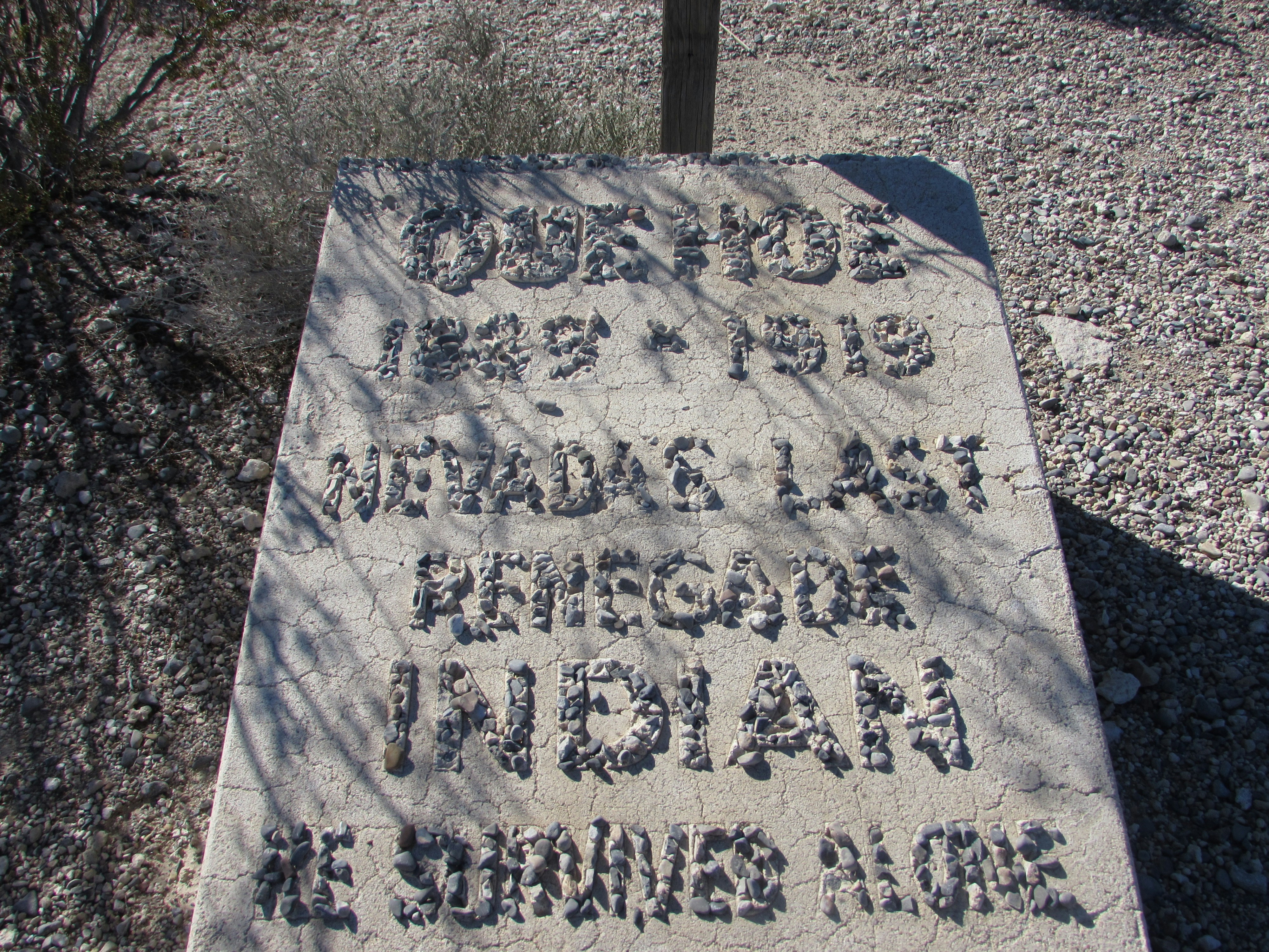 Free Unsplash photo from Jonathan Castor