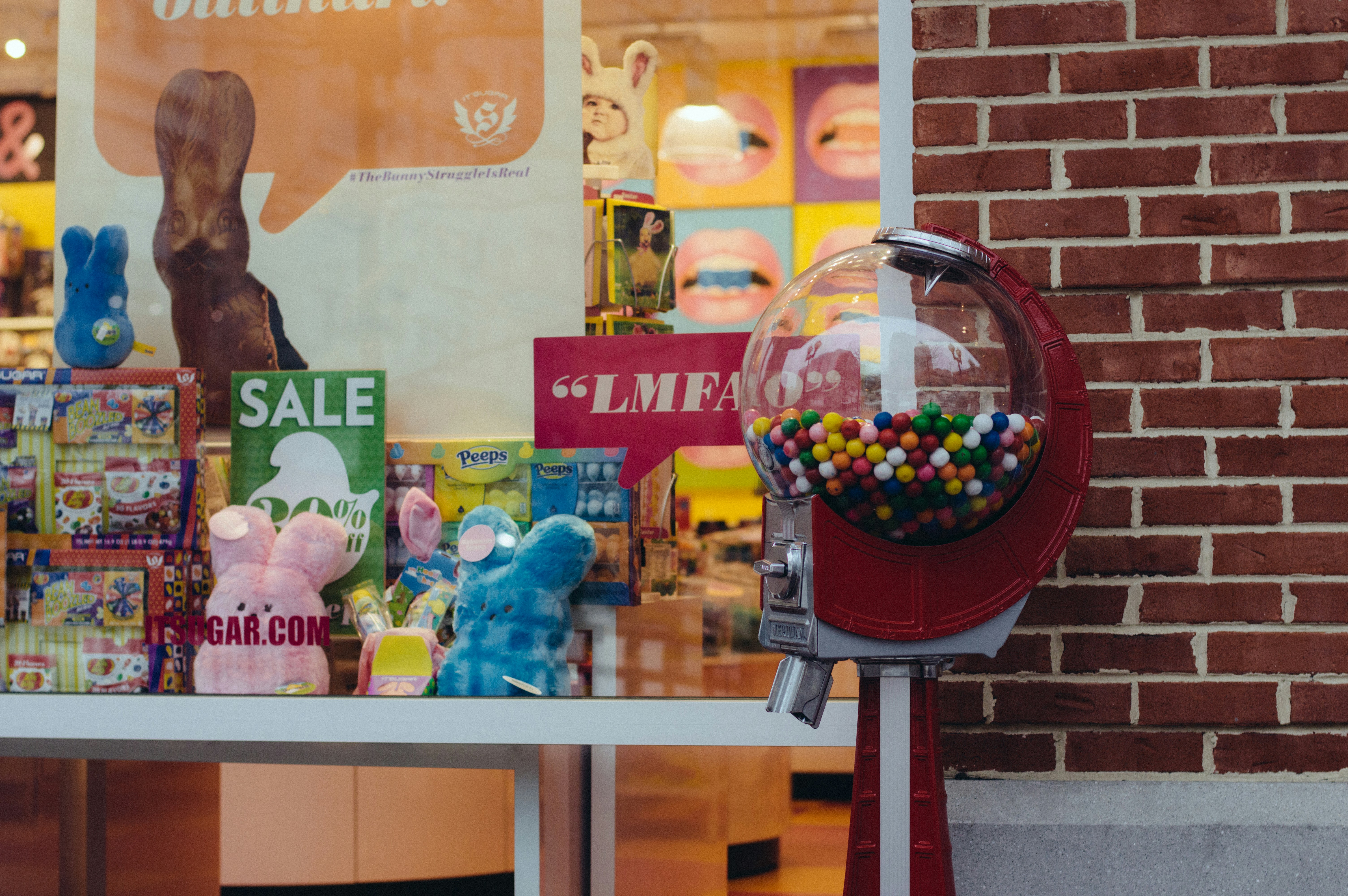 Free Unsplash photo from Anthony Fontes Jr.